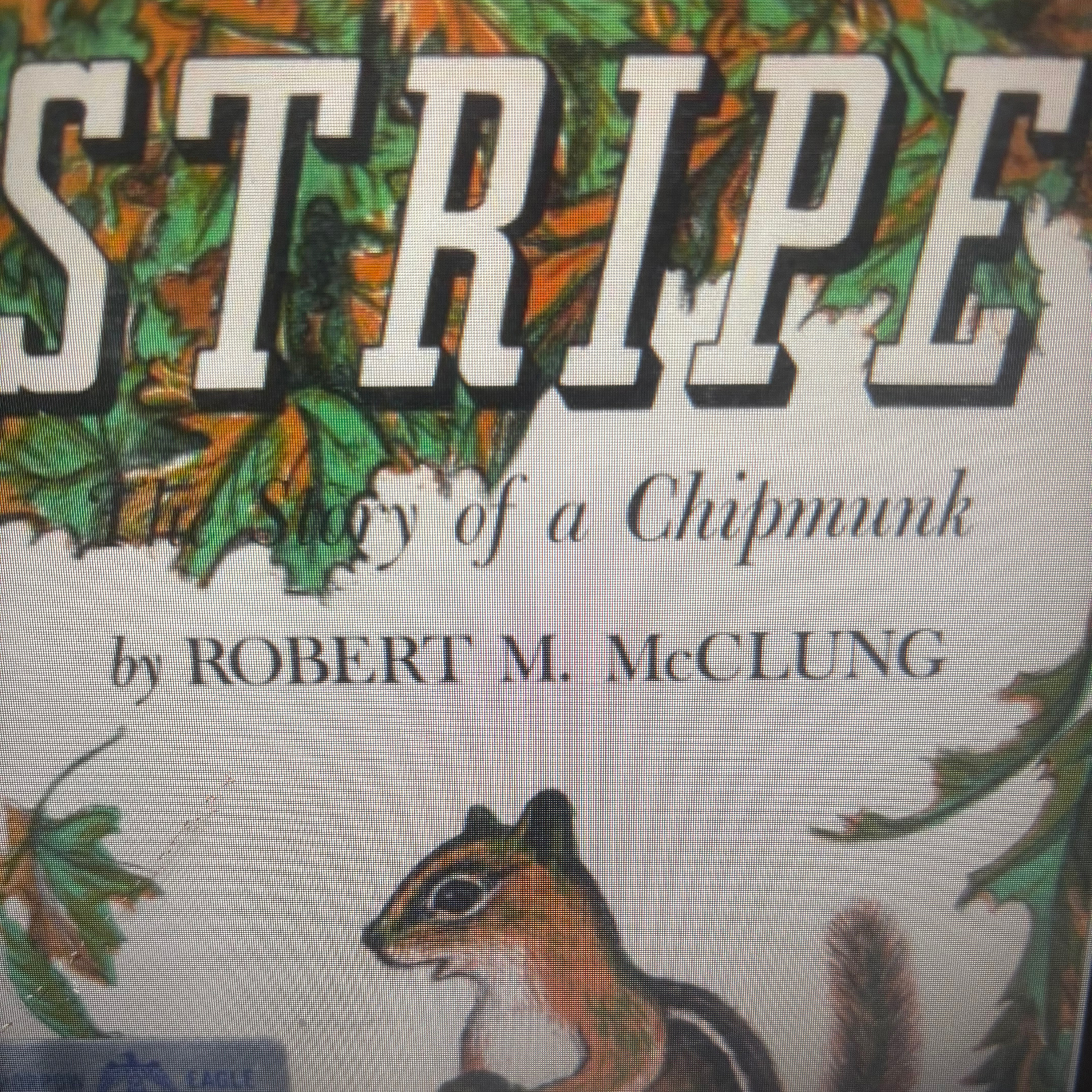 “Stripe; the Story of a Chipmunk” by Robert M Mc Clung  episode artwork