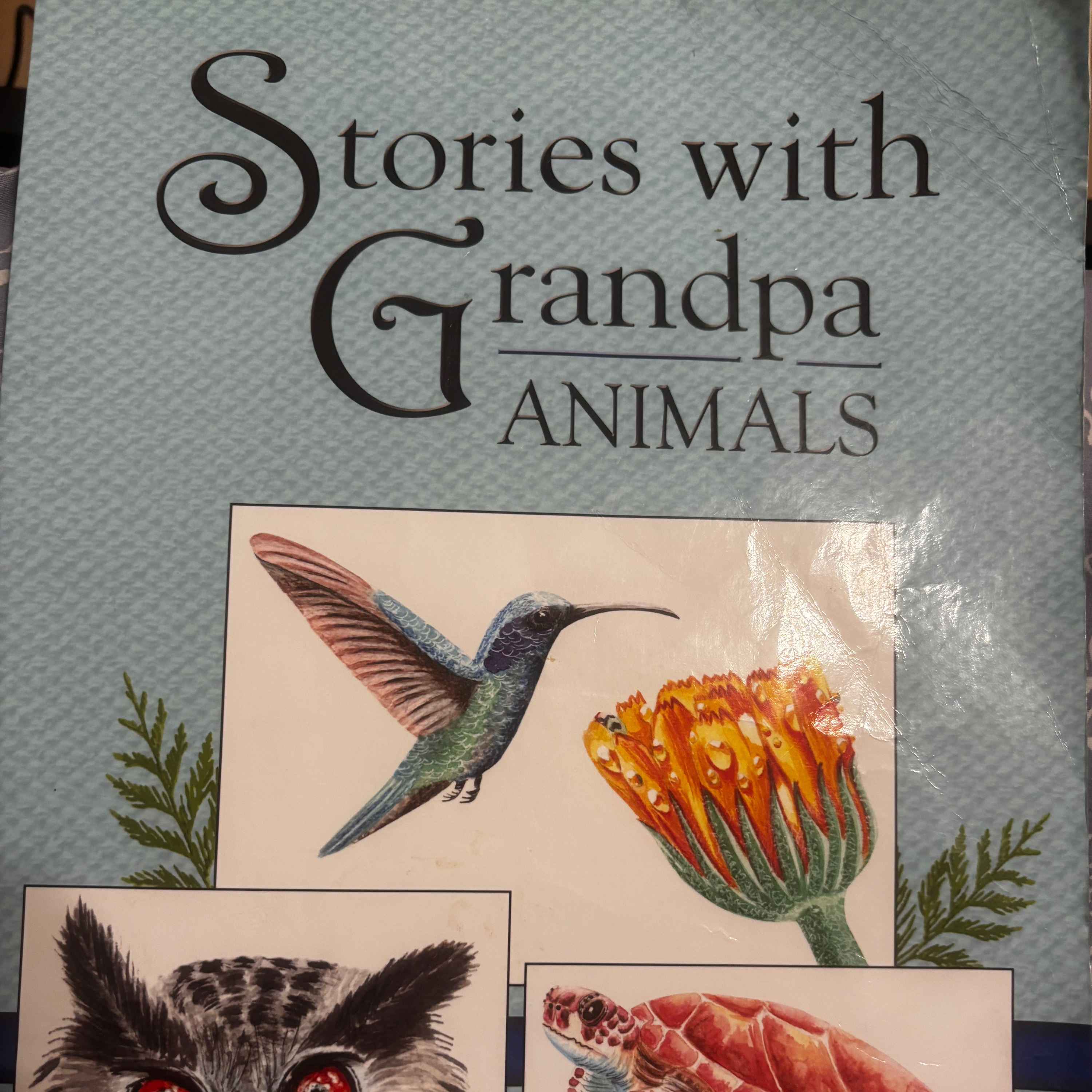 Part 1 “Stories with Grandpa… Animals”  episode artwork
