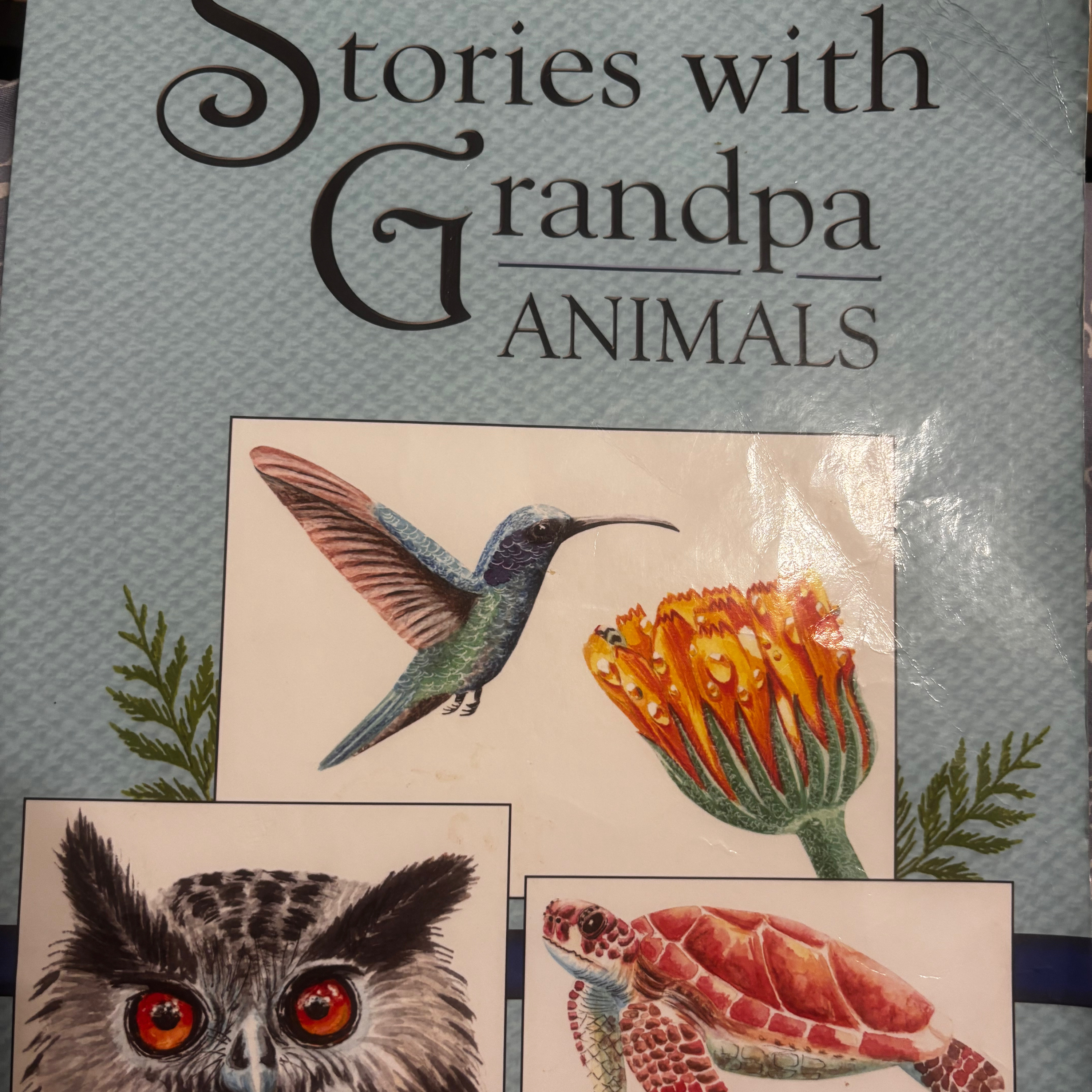 Part 4; see photo by Dr. Kent Hovind; Ladybugs, Opossums, owls and pigeons  episode artwork