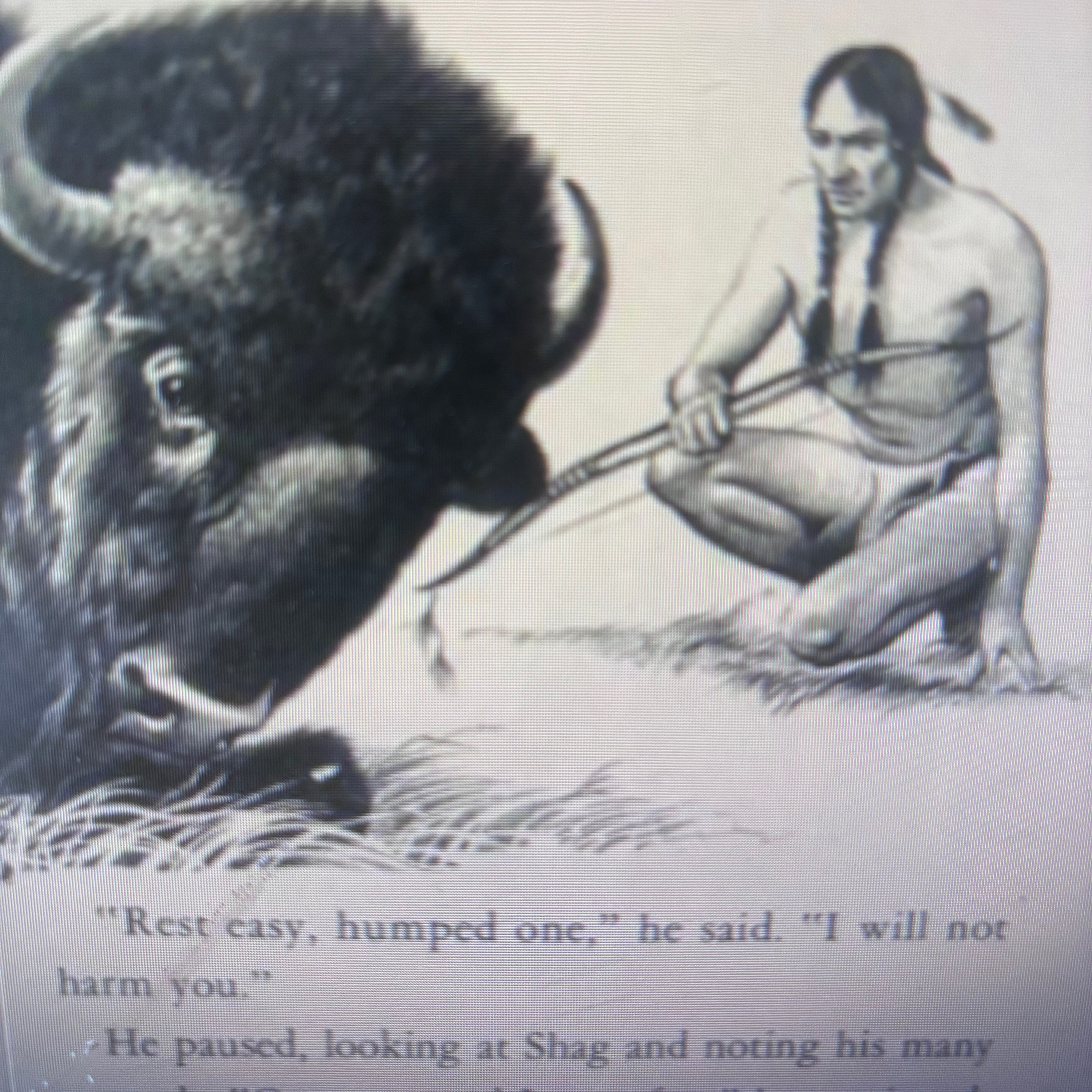 Ch 4 and last chapter of “Shag….” By Robert M McClung episode artwork