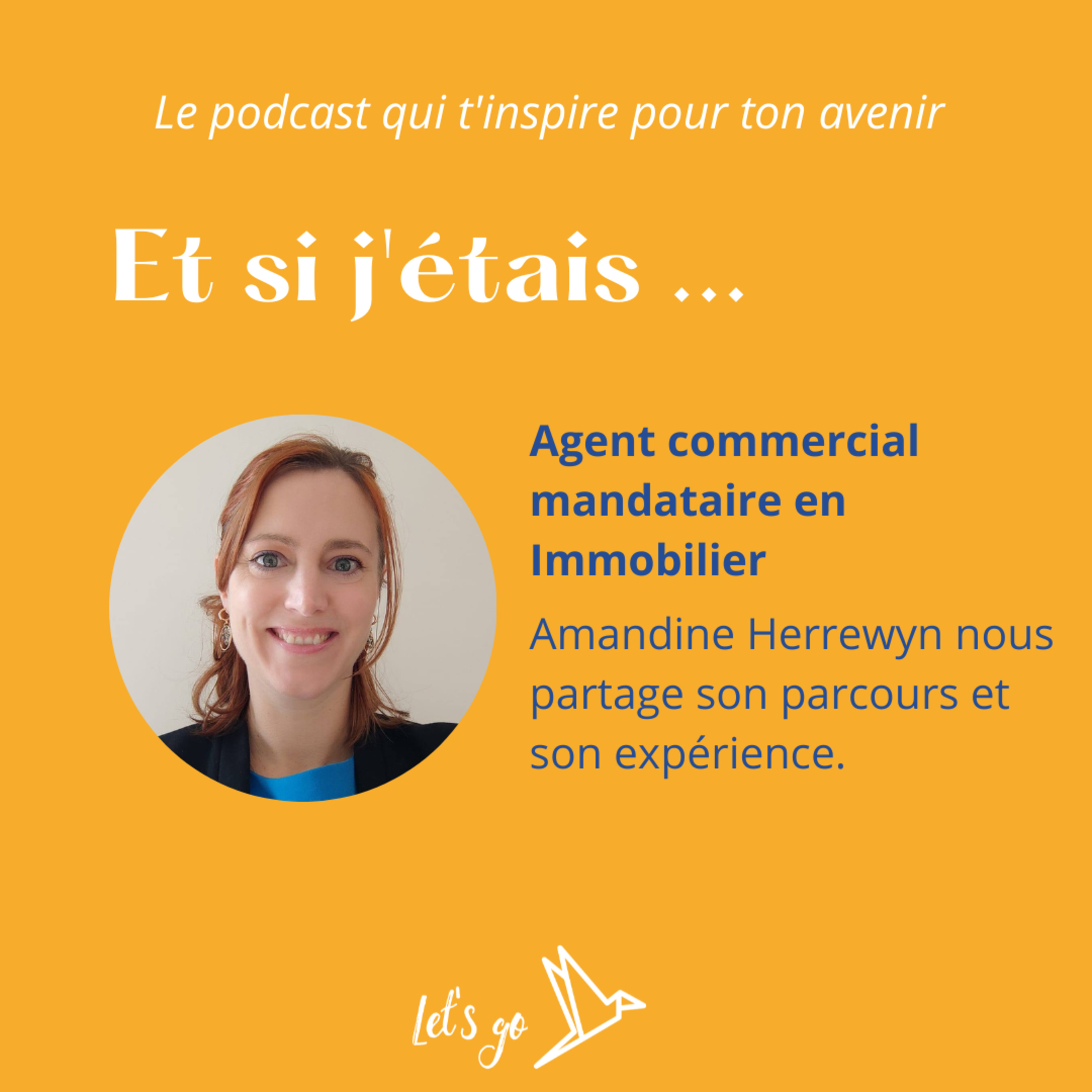 Et si j'étais agent commercial mandataire en Immobilier episode artwork