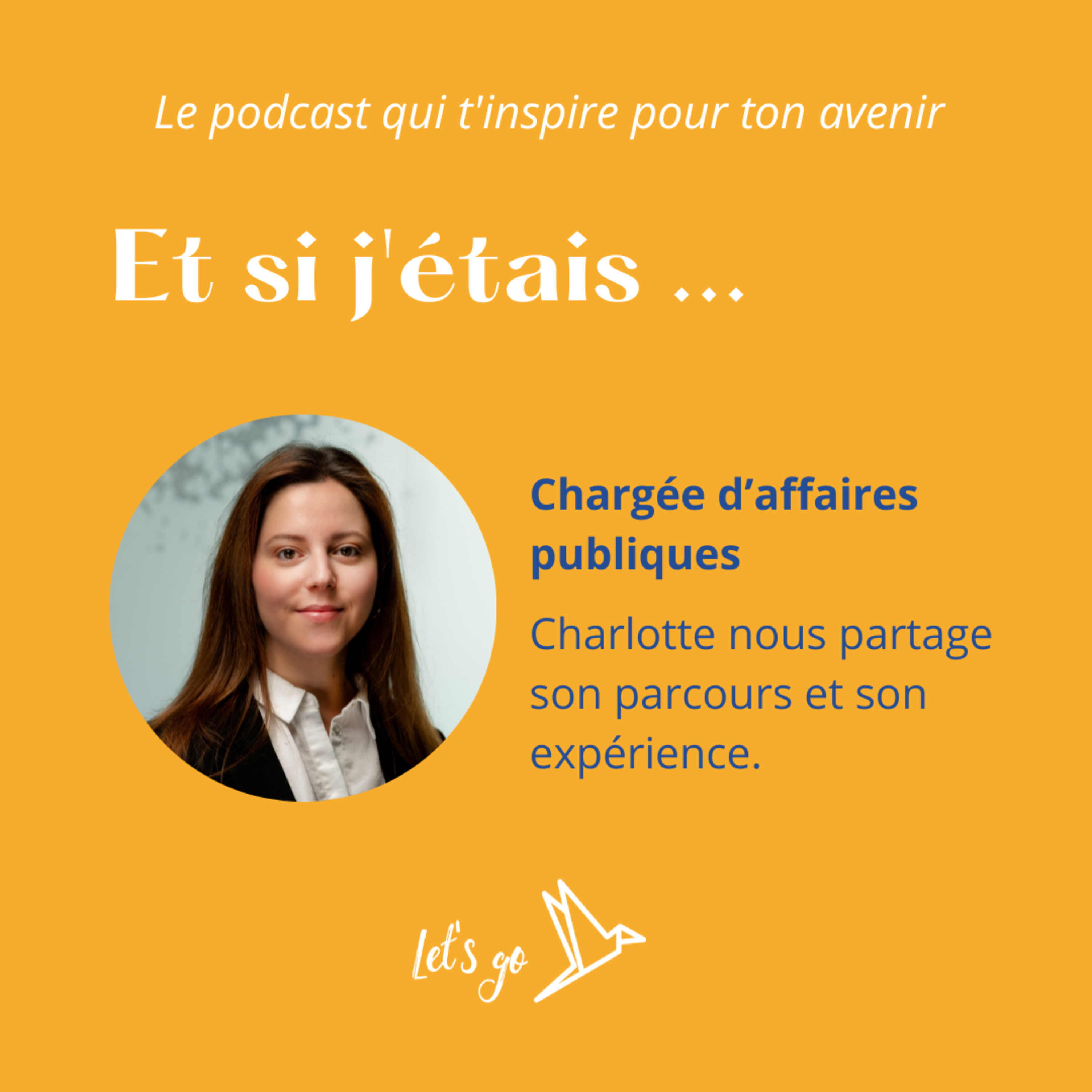 Et si j'étais chargée d'affaires publiques episode artwork