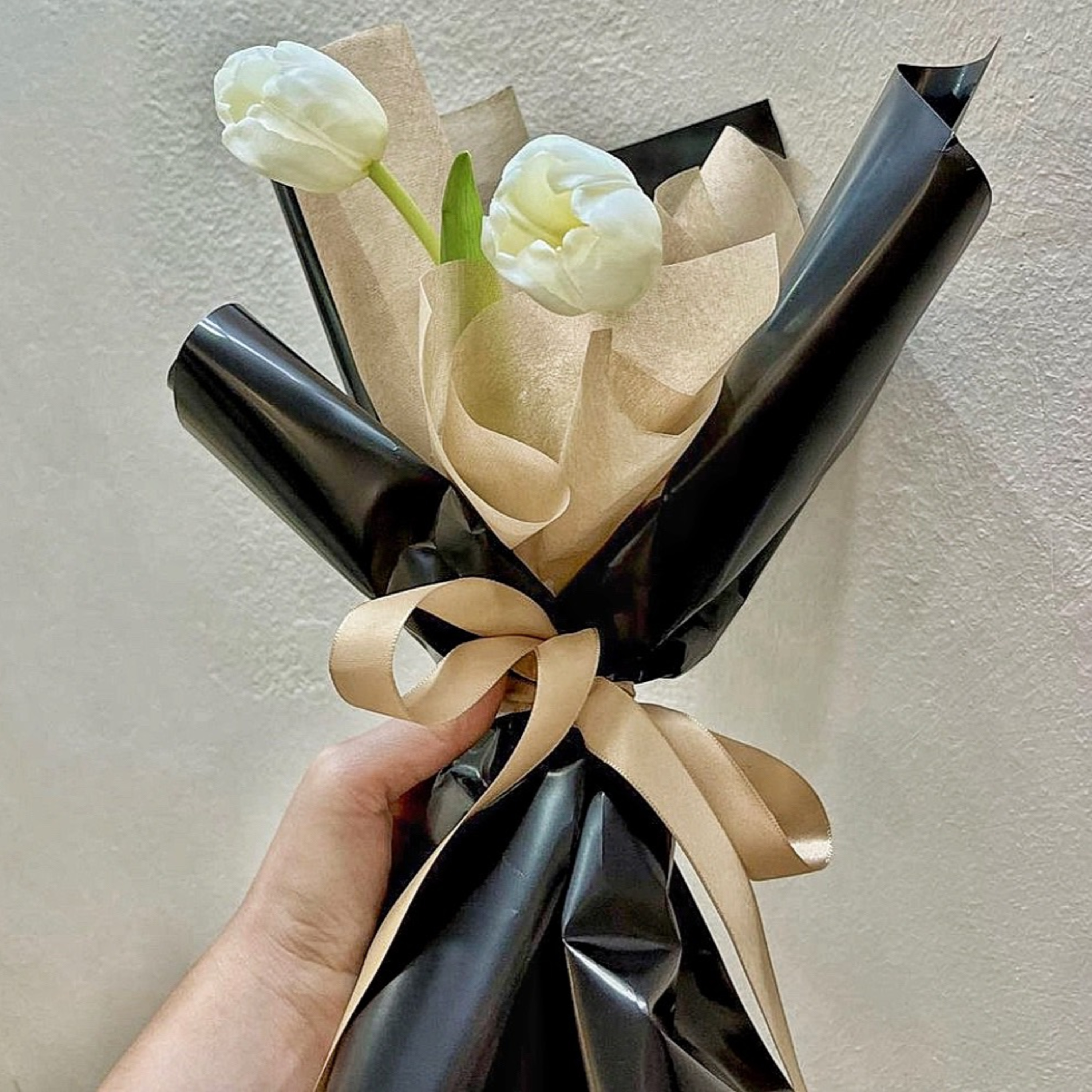 Podcast của Luy