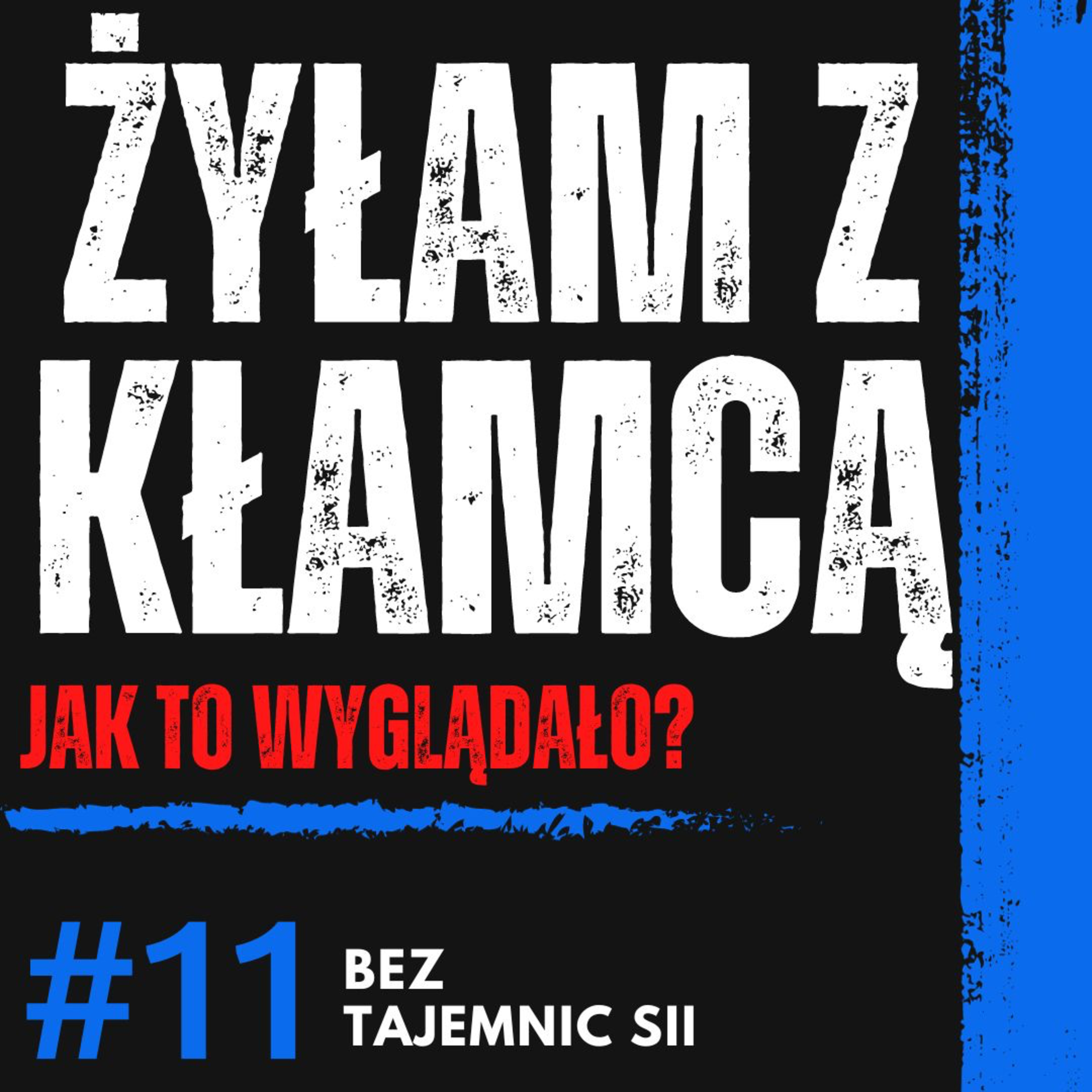 "PATOLOGICZNY KŁAMCA ZRUJNOWAŁ MI CAŁE ŻYCIE" JAK WYGLĄDA ŻYCIE Z KŁAMCĄ I MITOMANEM? episode artwork
