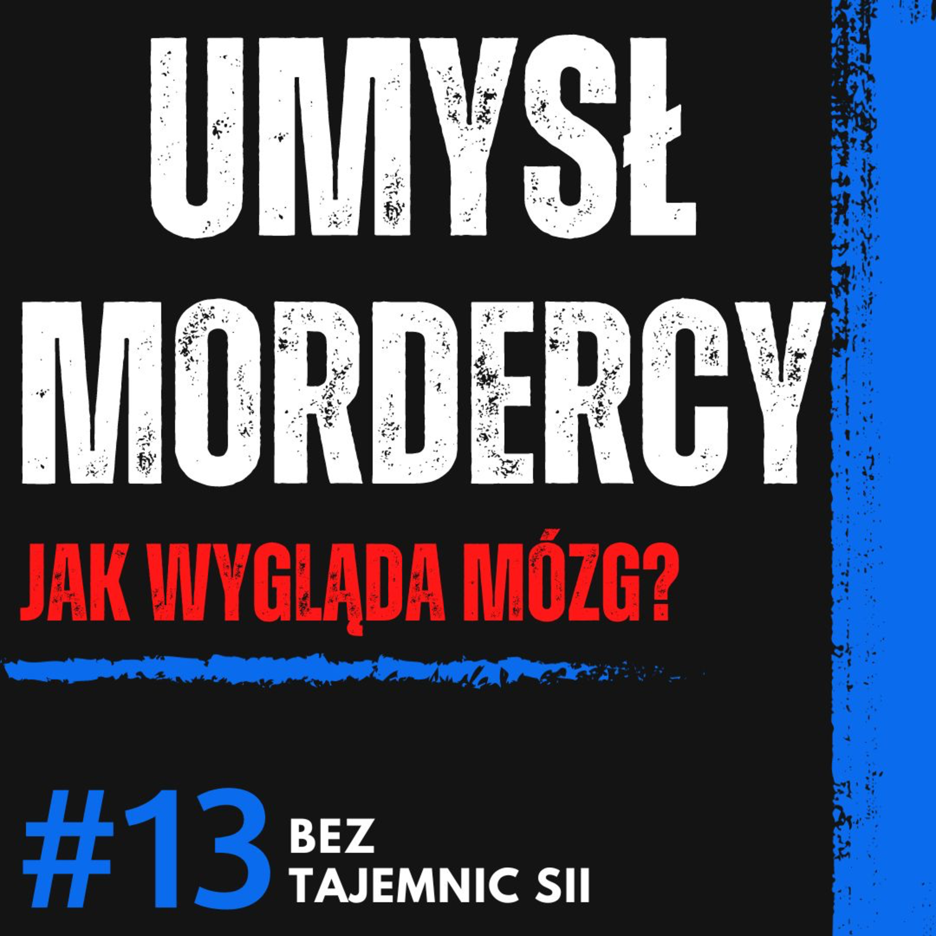"UMYSŁ MORDERCY JEST PRZERAŻAJĄCY, ALE TO NIE JEGO WINA" - KRYMINOLOG O TYM JAK DZIAŁA PRZESTĘPCA episode artwork