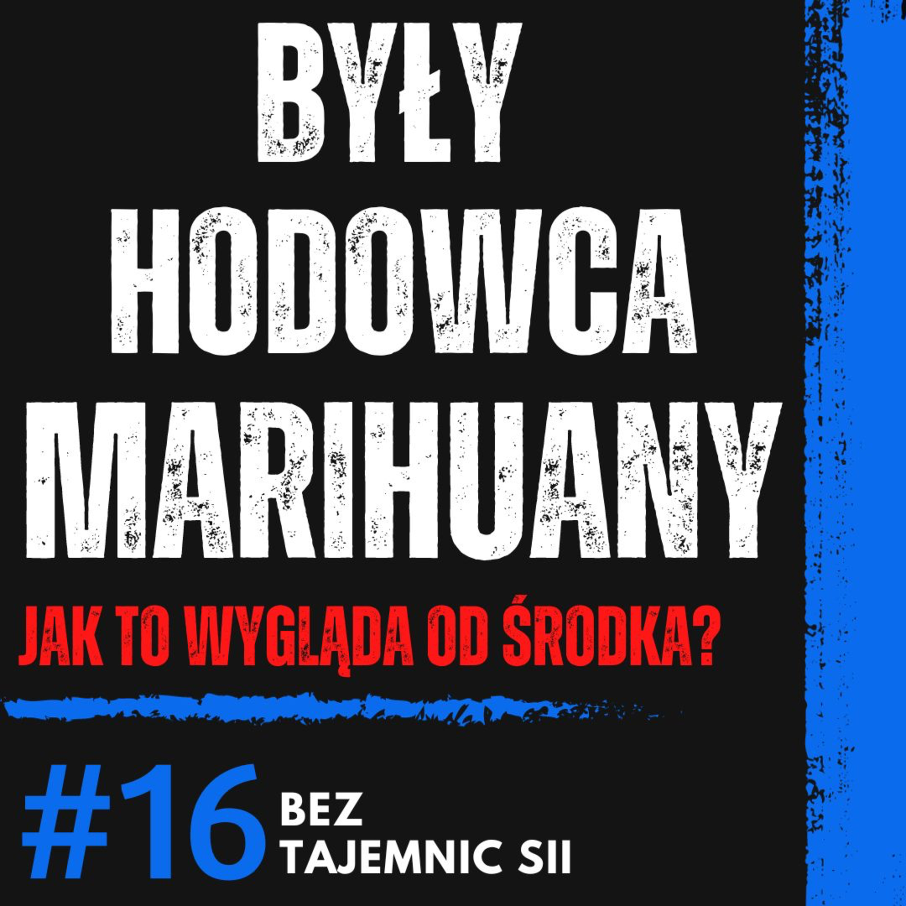 "HODOWAŁEM MARIHUANĘ I WIEM O NIEJ WSZYSTKO" BYŁY HODOWCA O TYM JAK JEST W POLSCE!  episode artwork