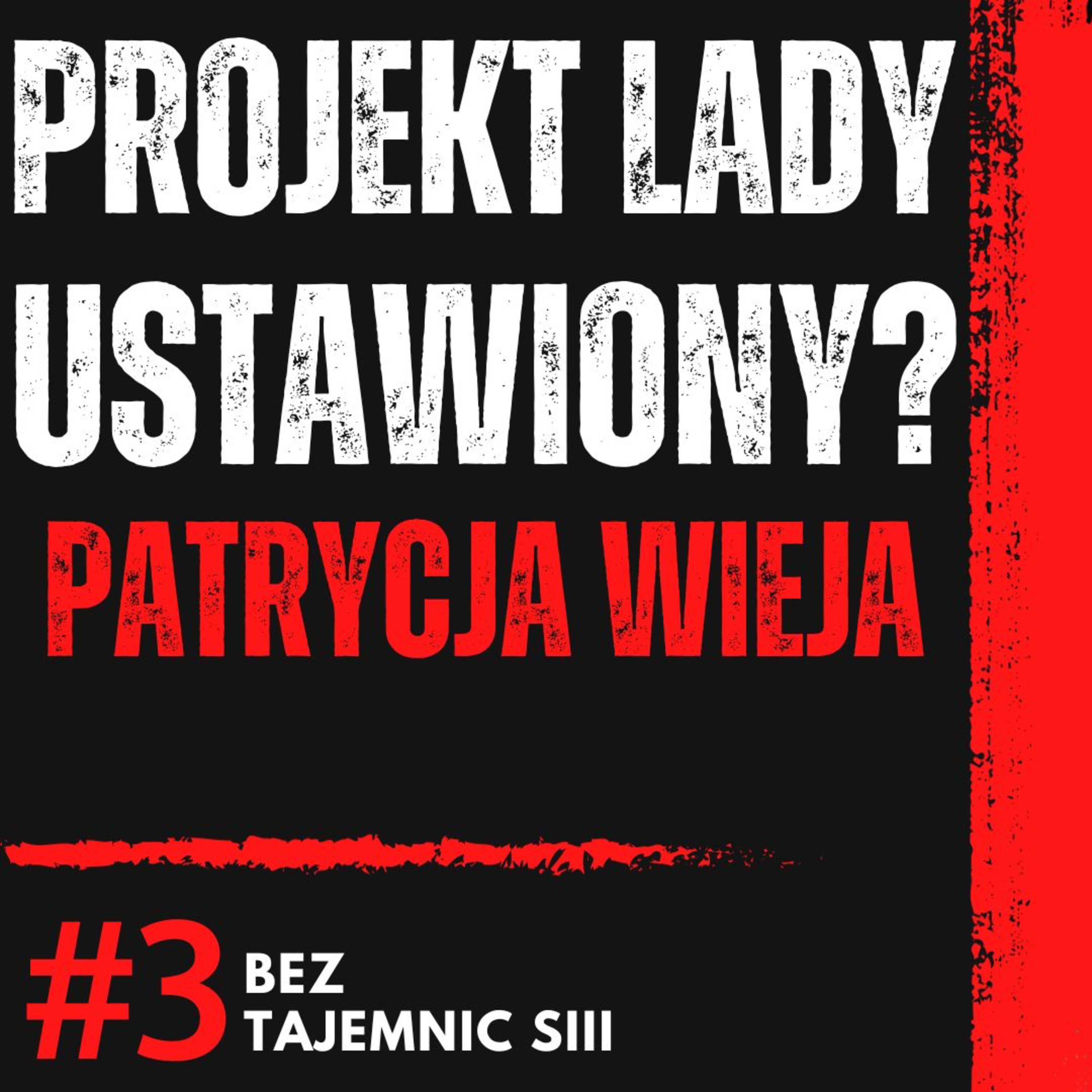 "PROJEKT LADY NIE BYŁ USTAWIONY!" - PATRYCJA WIEJA O UDZIALE W PROGRAMIE, ŻYCIU I PLANACH episode artwork