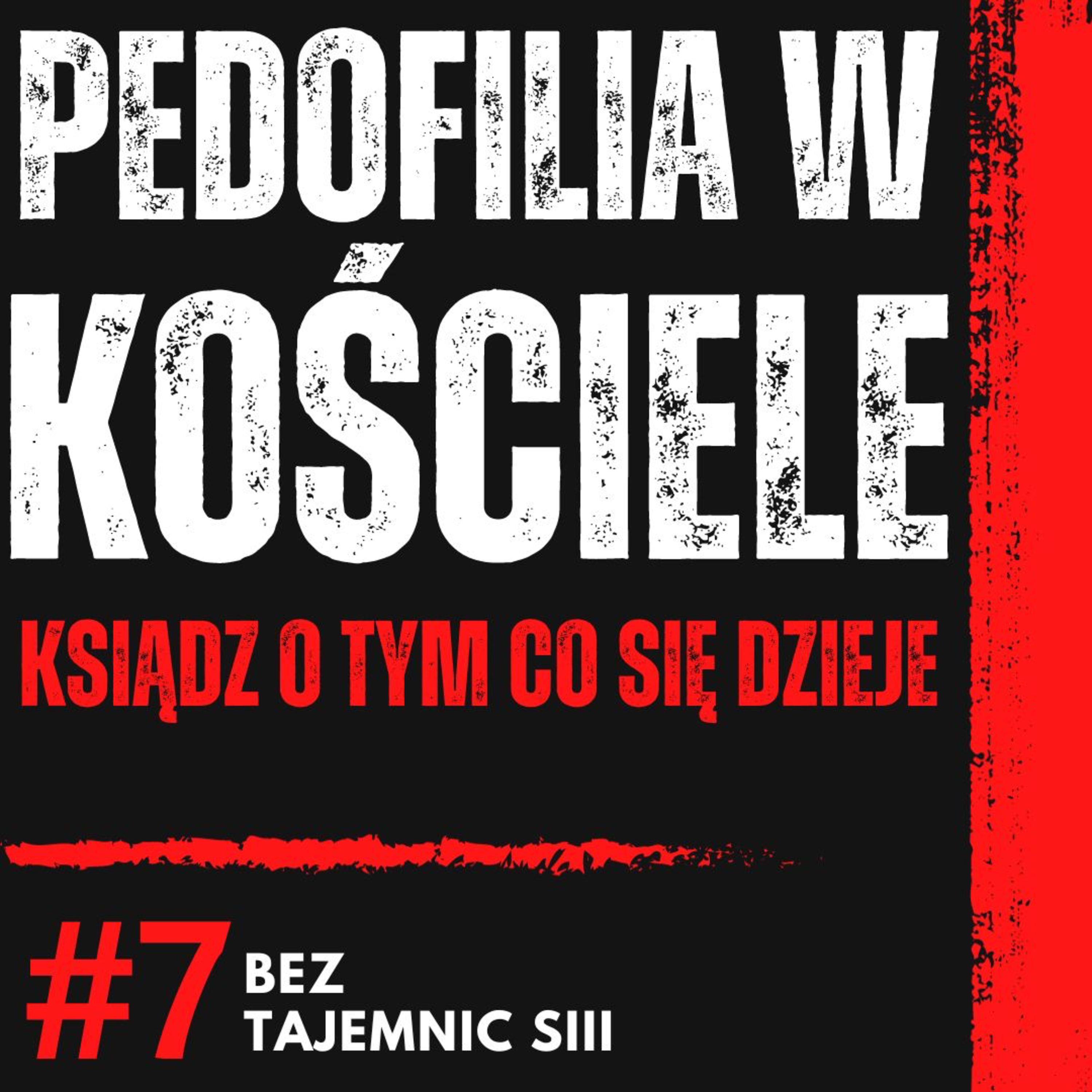 "ZNAM KSIĘŻY PEDOFILÓW I POWINNI ZOSTAĆ USUNIĘCI Z KOŚCIOŁA" - KSIĄDZ MOCNO O INNYCH KSIĘŻACH episode artwork