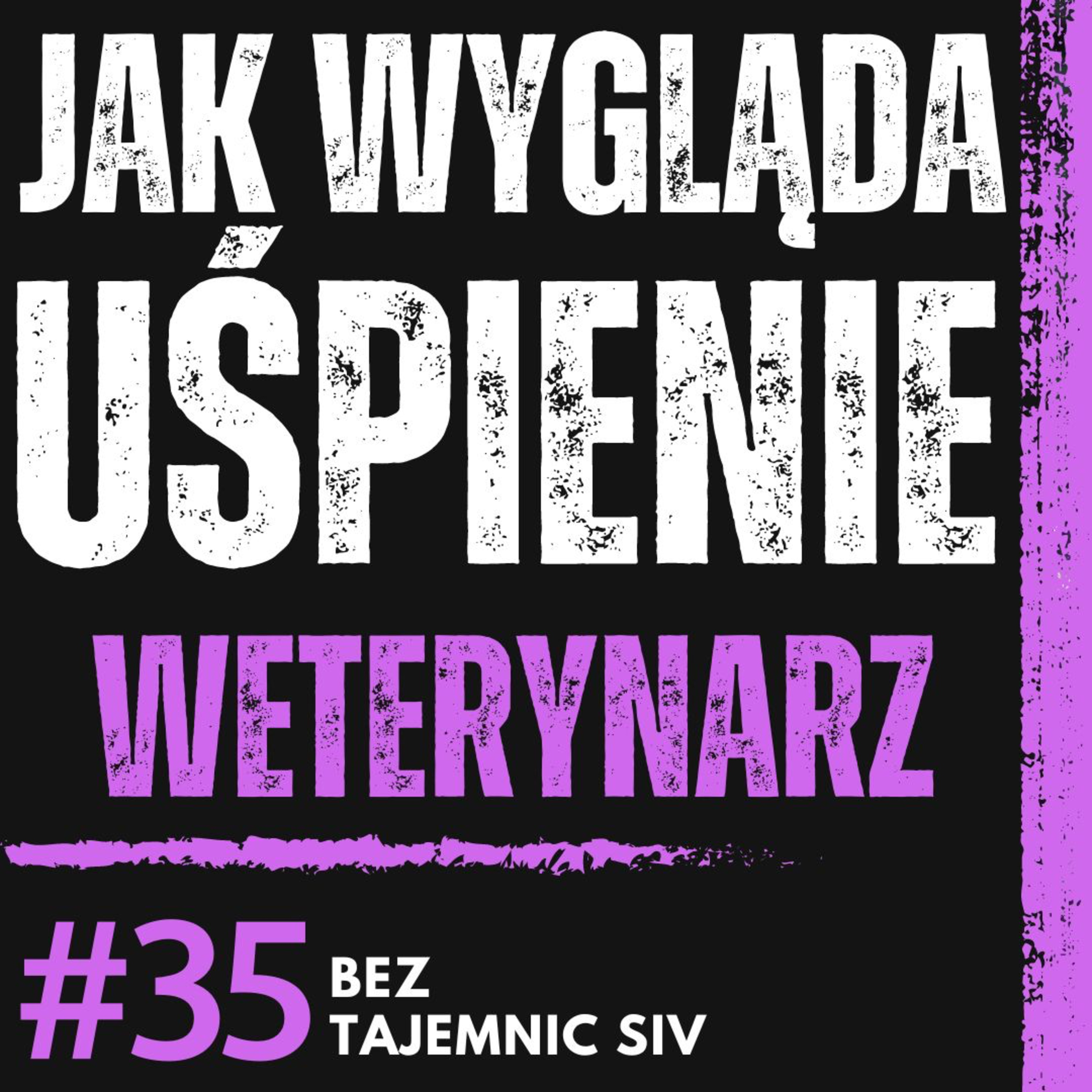 "OPOWIEM SEKRETY EUTANAZJI ZWIERZĄT! - DZIENNIE ROBIĘ PONAD 5" WETERYNARZ O SWOIM ZAWODZIE episode artwork