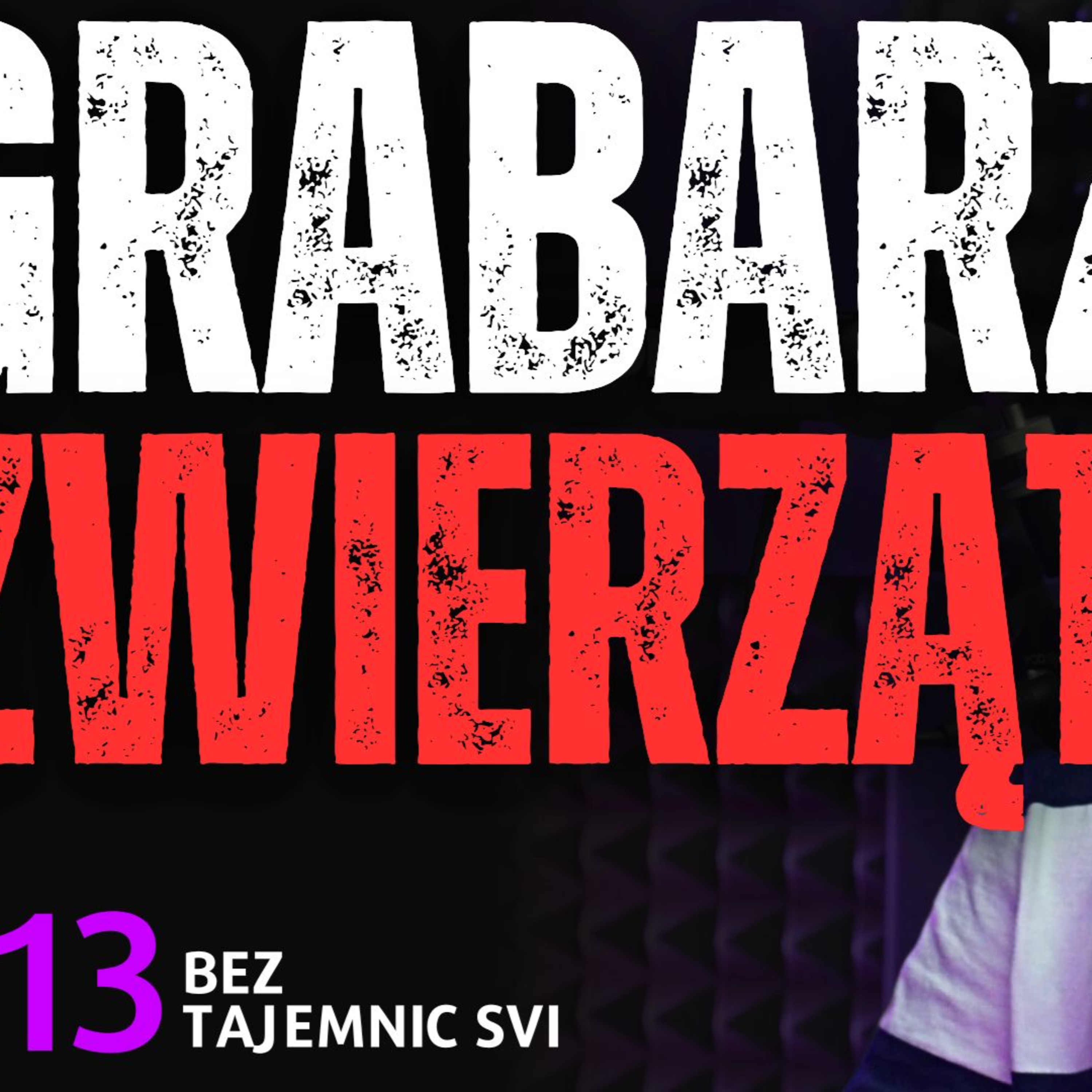"JESTEM GRABARZEM ZWIERZĄT - TO PRACA INNA NIŻ WSZYSTKIE" JAK WYGLĄDA POGRZEB ZWIERZĘCIA? episode artwork