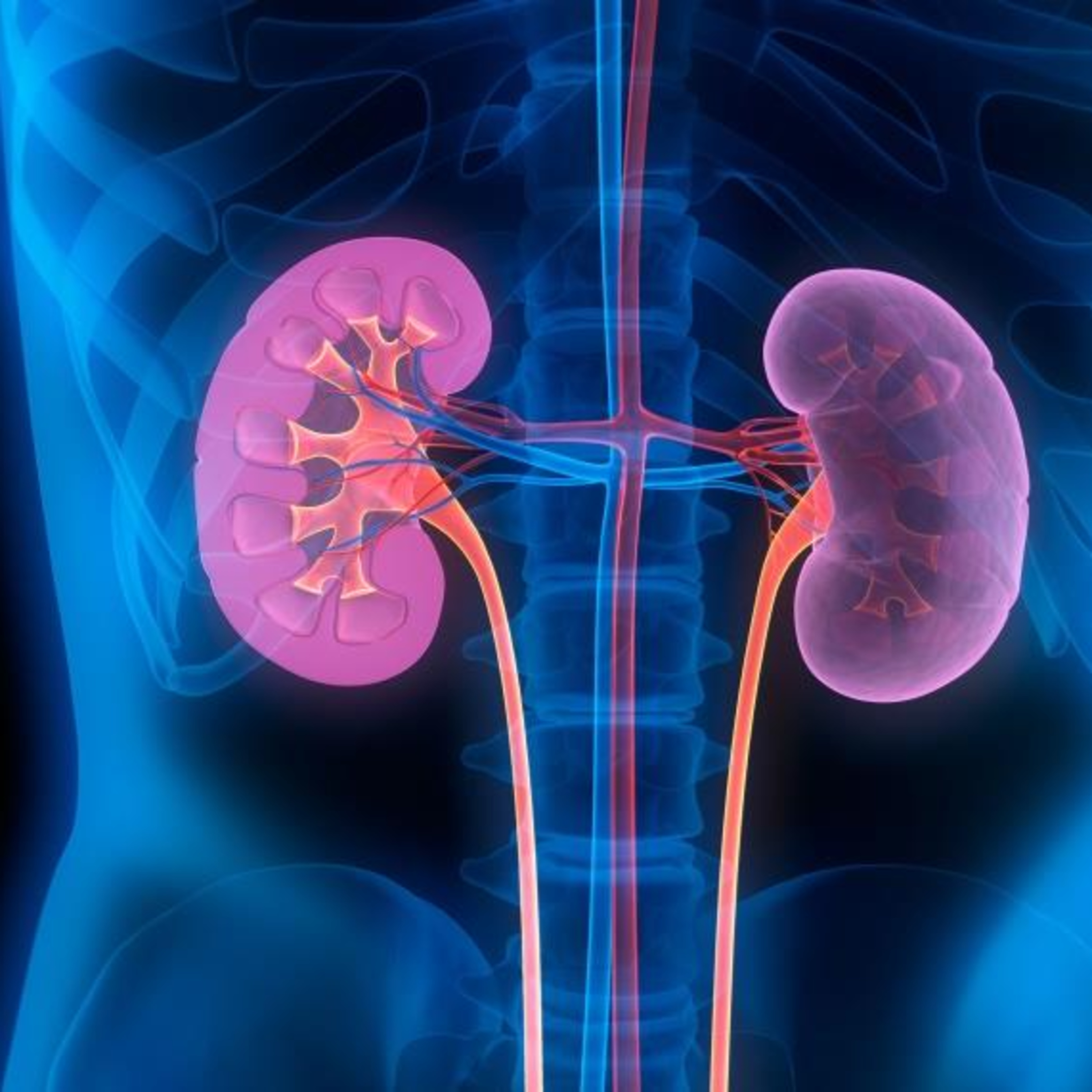 Eric Prince - Kidney Failure - Episode 55