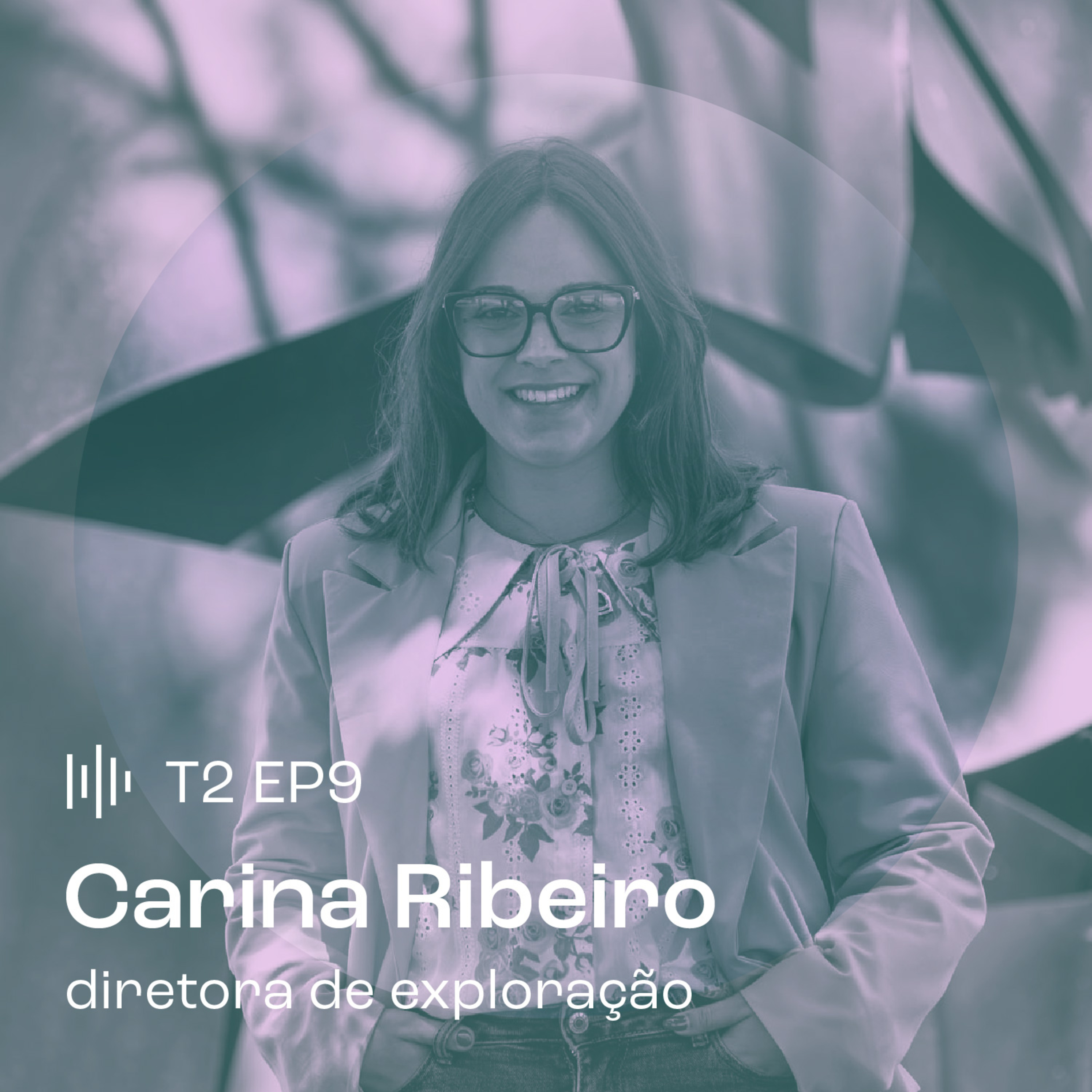 Camarim das Estrelas