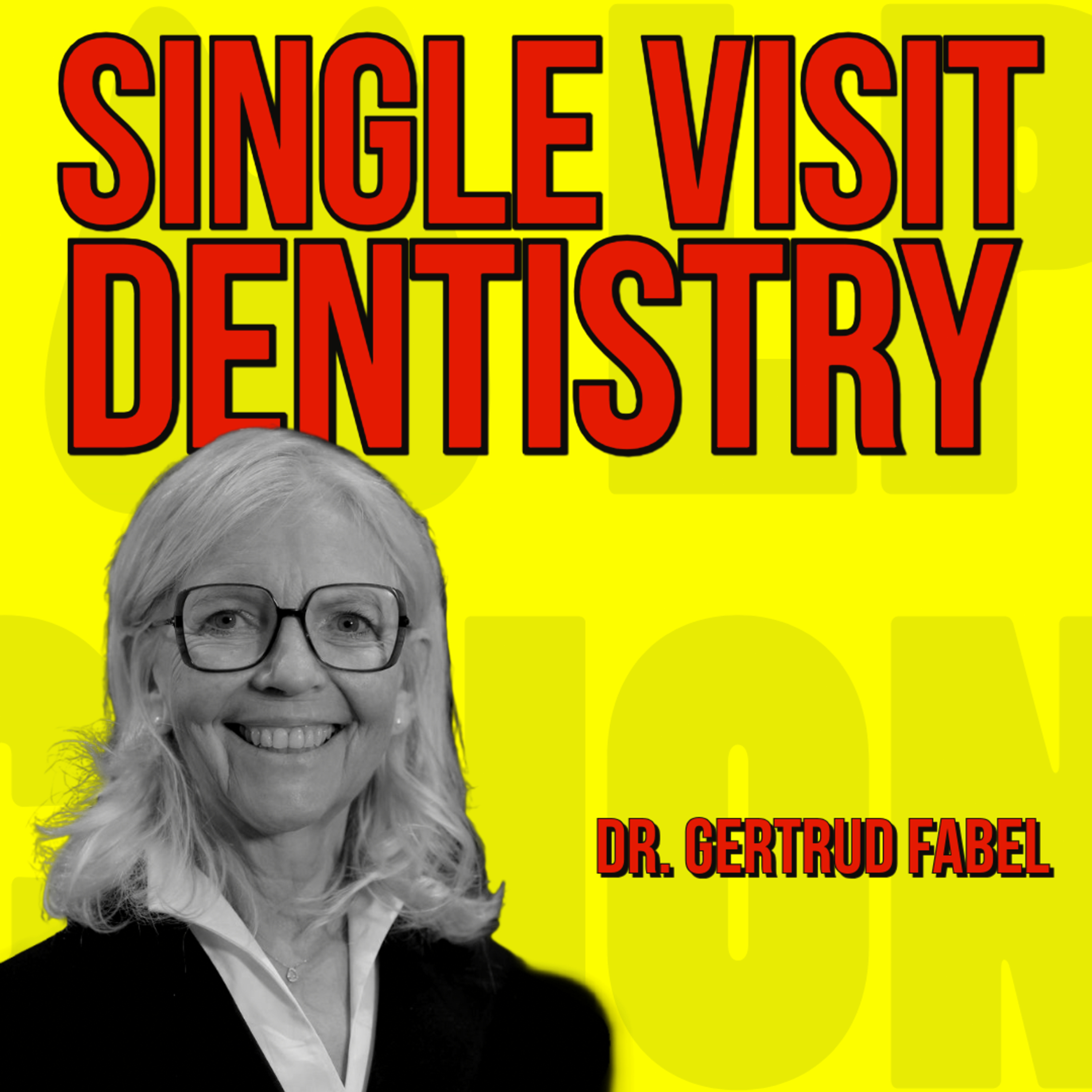 040 Single Visit Dentistry with Dr. Gertrud Fabel - Quick IDS Talk Series episode artwork