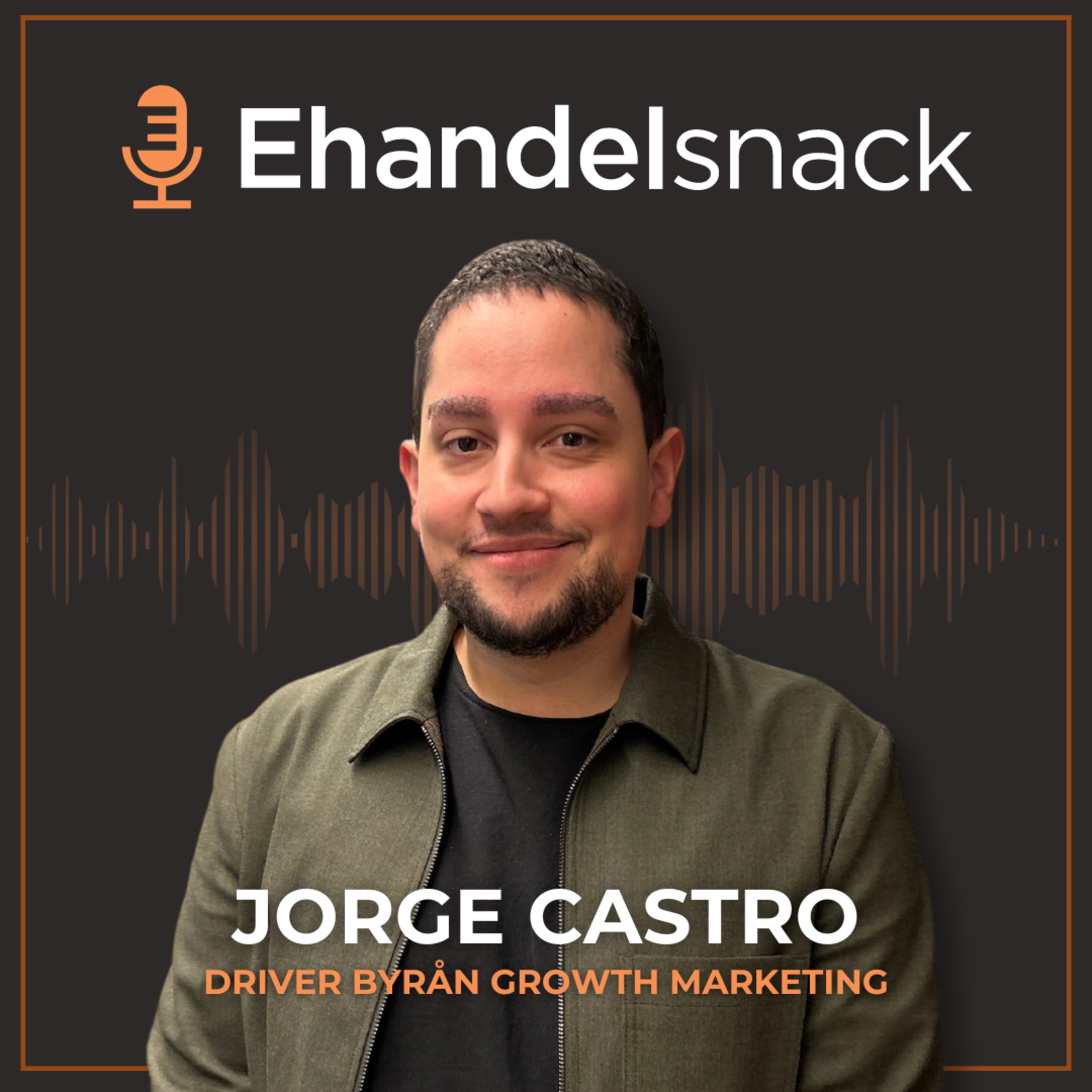 En handbok i SEO för e-handlare | Från nybörjare till proffs - Jorge Castro episode artwork