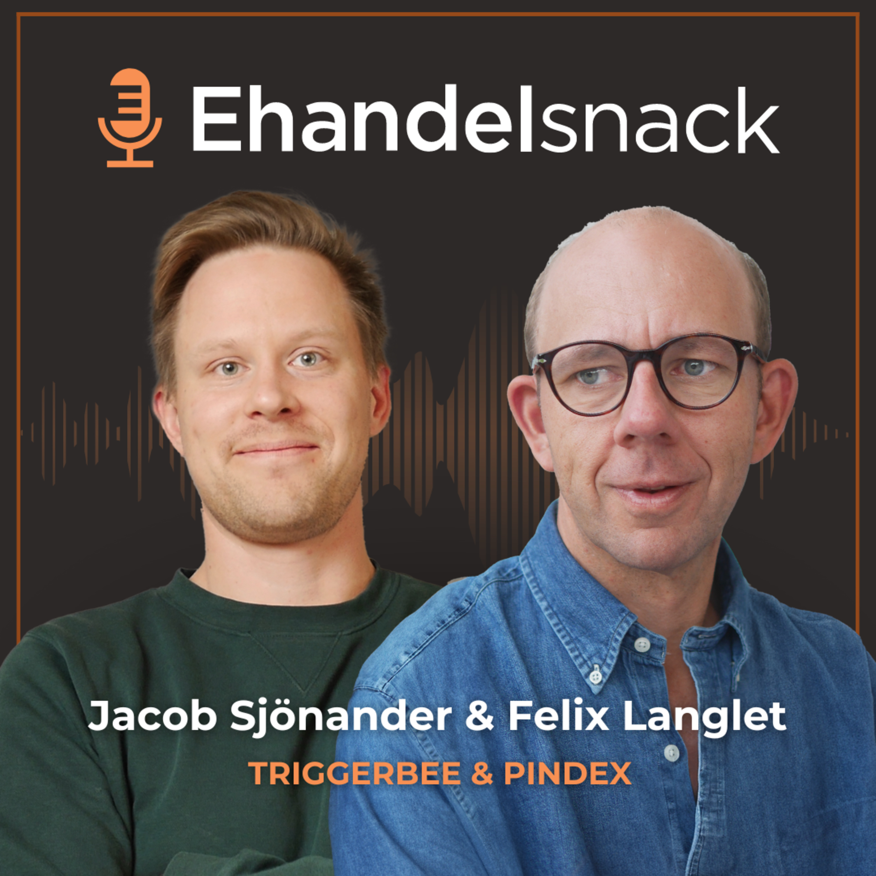 Analys av Nordens 200+ Största E-handlare: Insikter och Praktiska Tips för E-handlare | Jacob Sjönander & Felix Langlet episode artwork