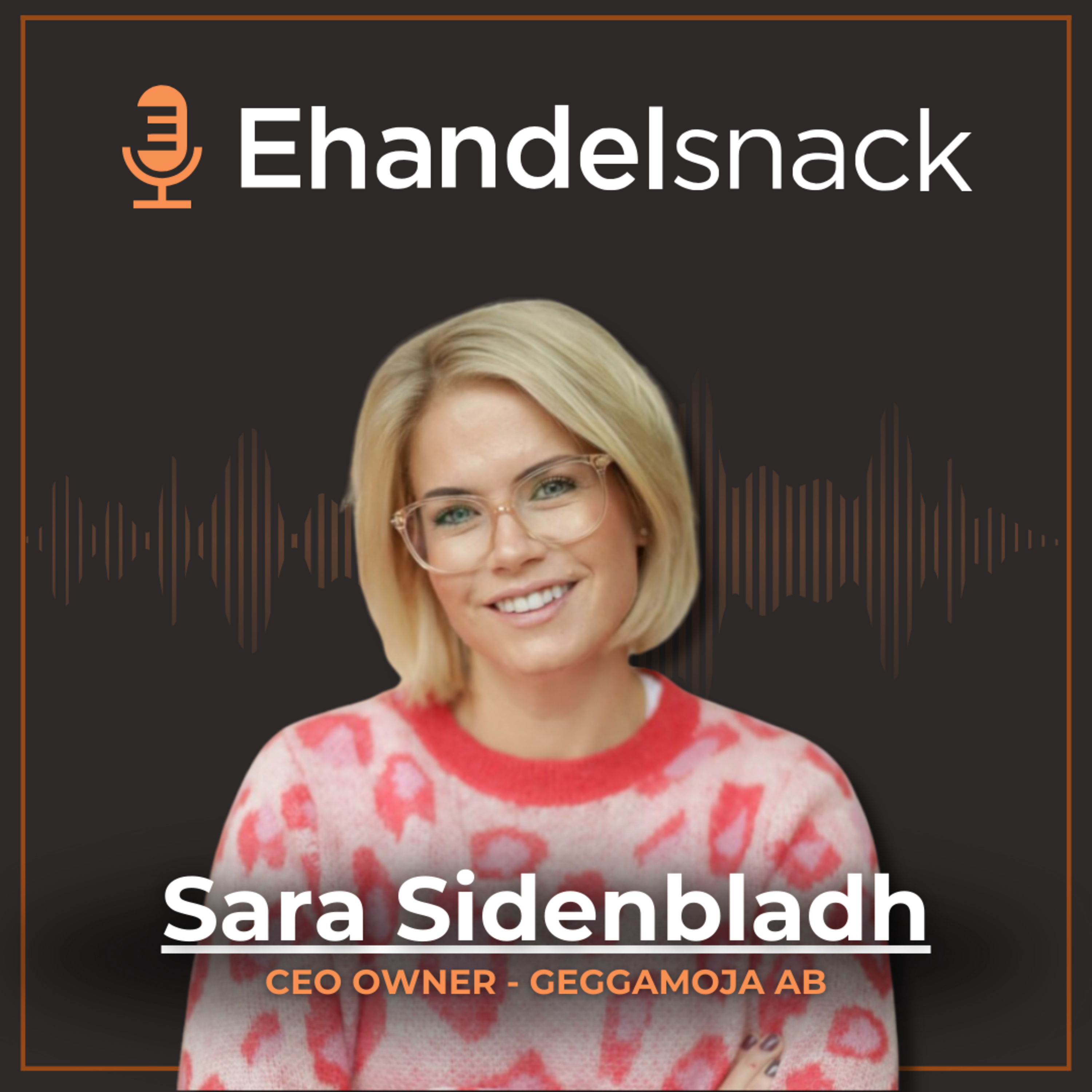 Framgång och motgångar med Geggamoja - Resan till 30 mkr | Sara Sidenbladh episode artwork