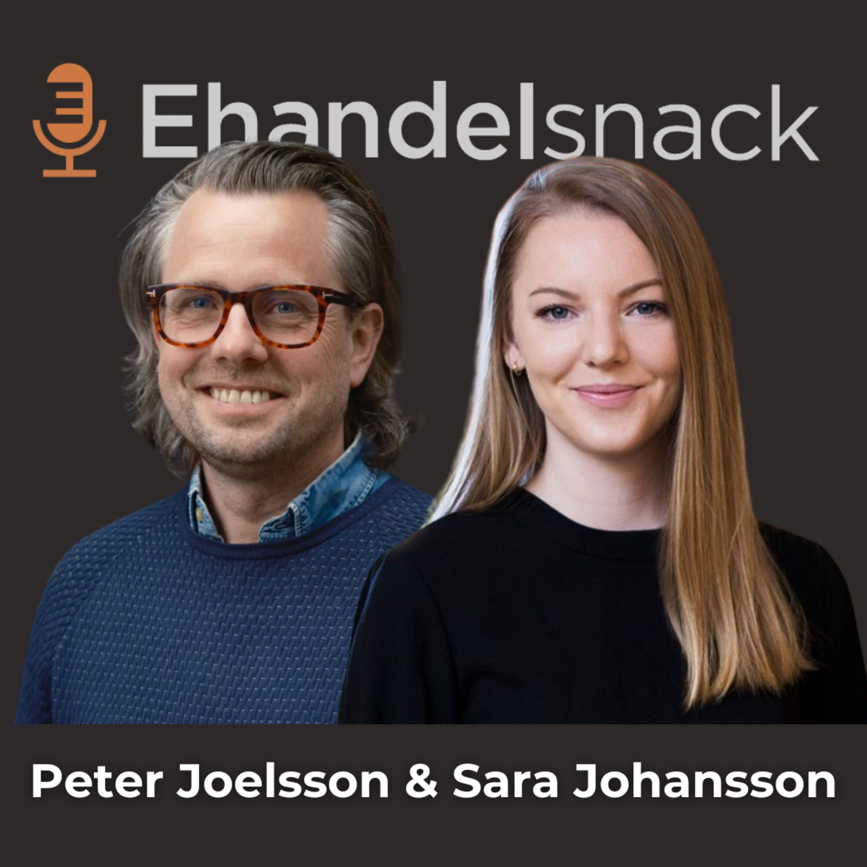 Webbhallens Strategi: Därför Har Vi 10+ Betalsätt | Peter Joelsson, CIO på Webbhallen & Sara Johansson, Briqpay episode artwork