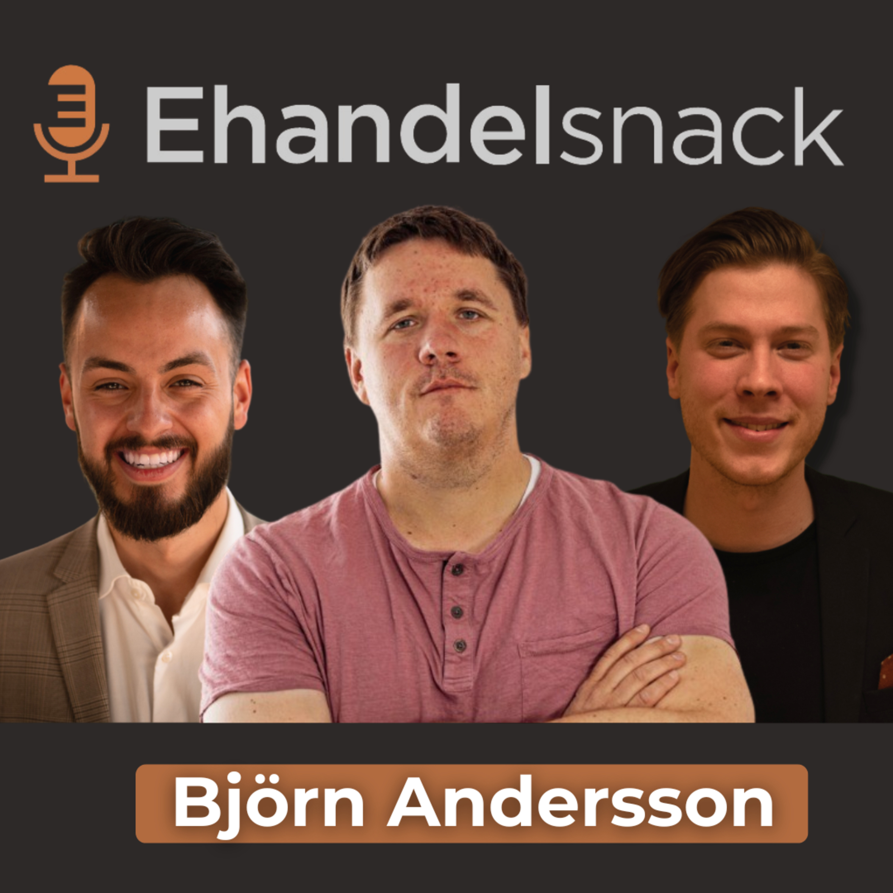 E-handelsmaskinen BGA: 400 Mkr i smala nischer och expansion till 29 marknader | Björn Andersson episode artwork