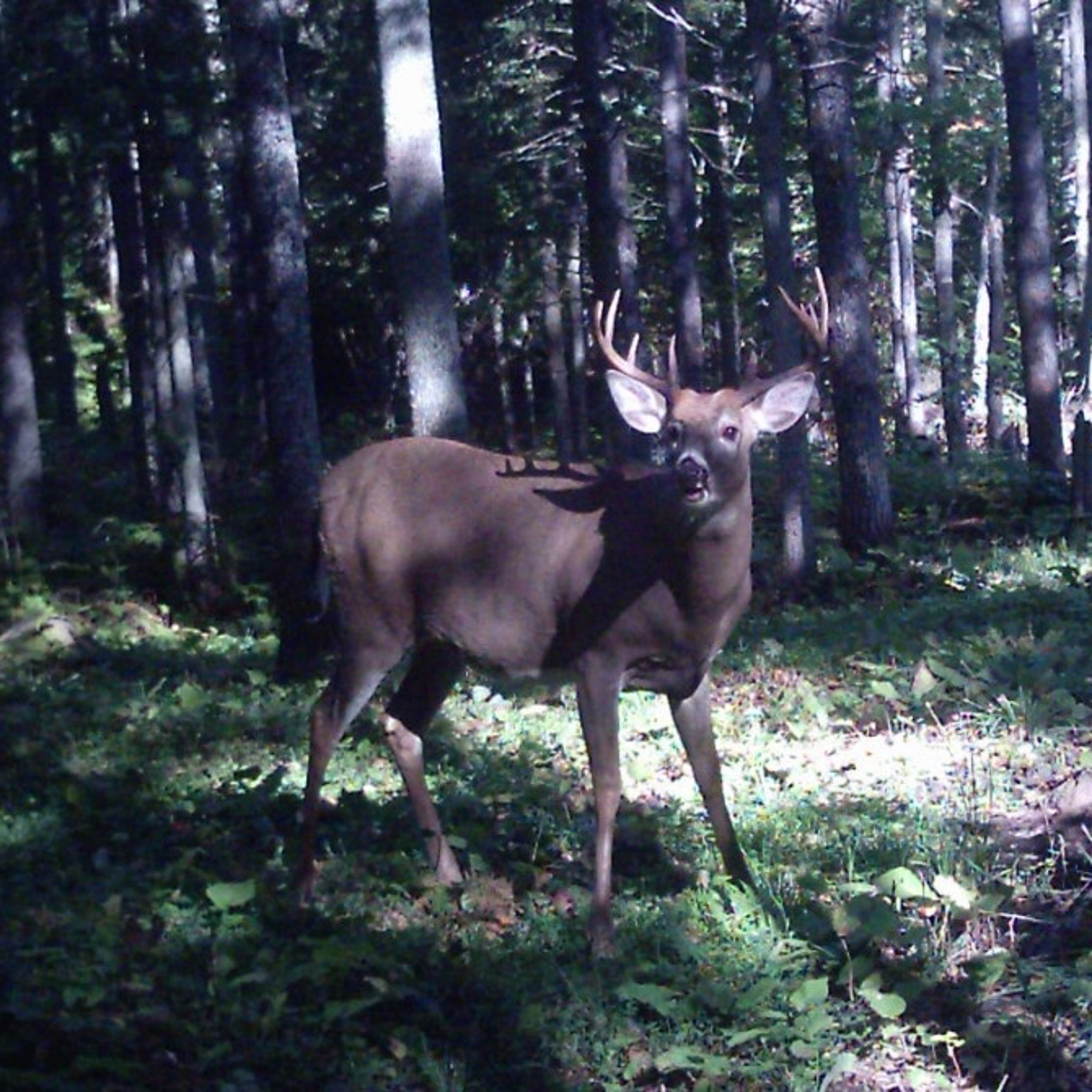 Bucks & Booze