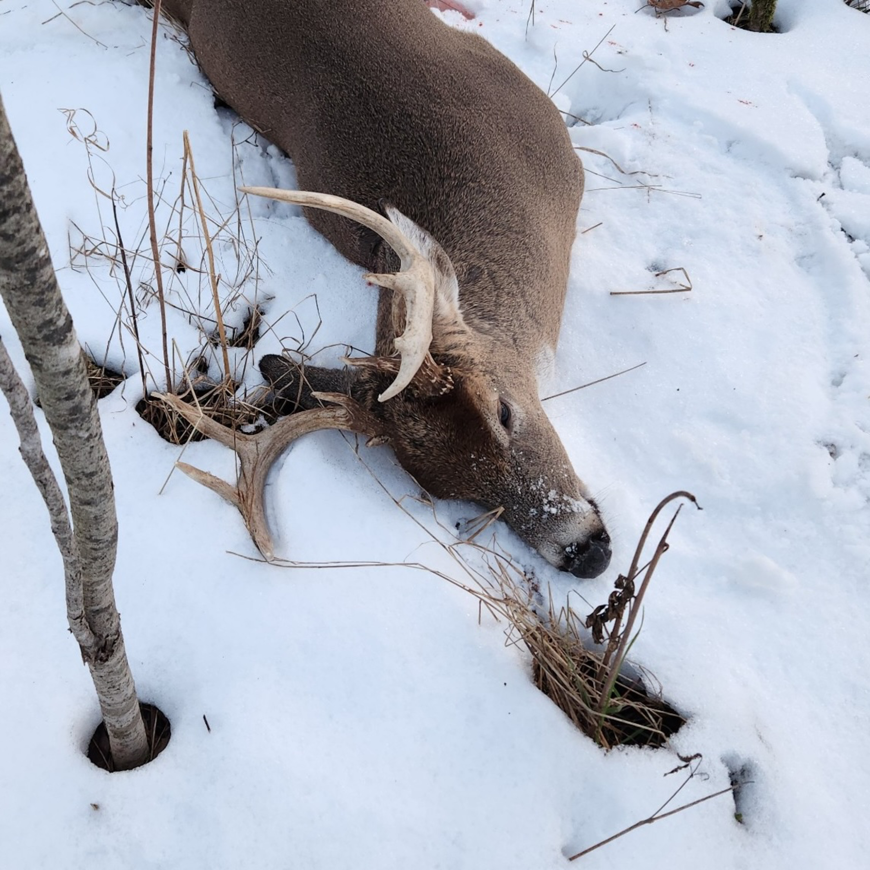 Bucks & Booze