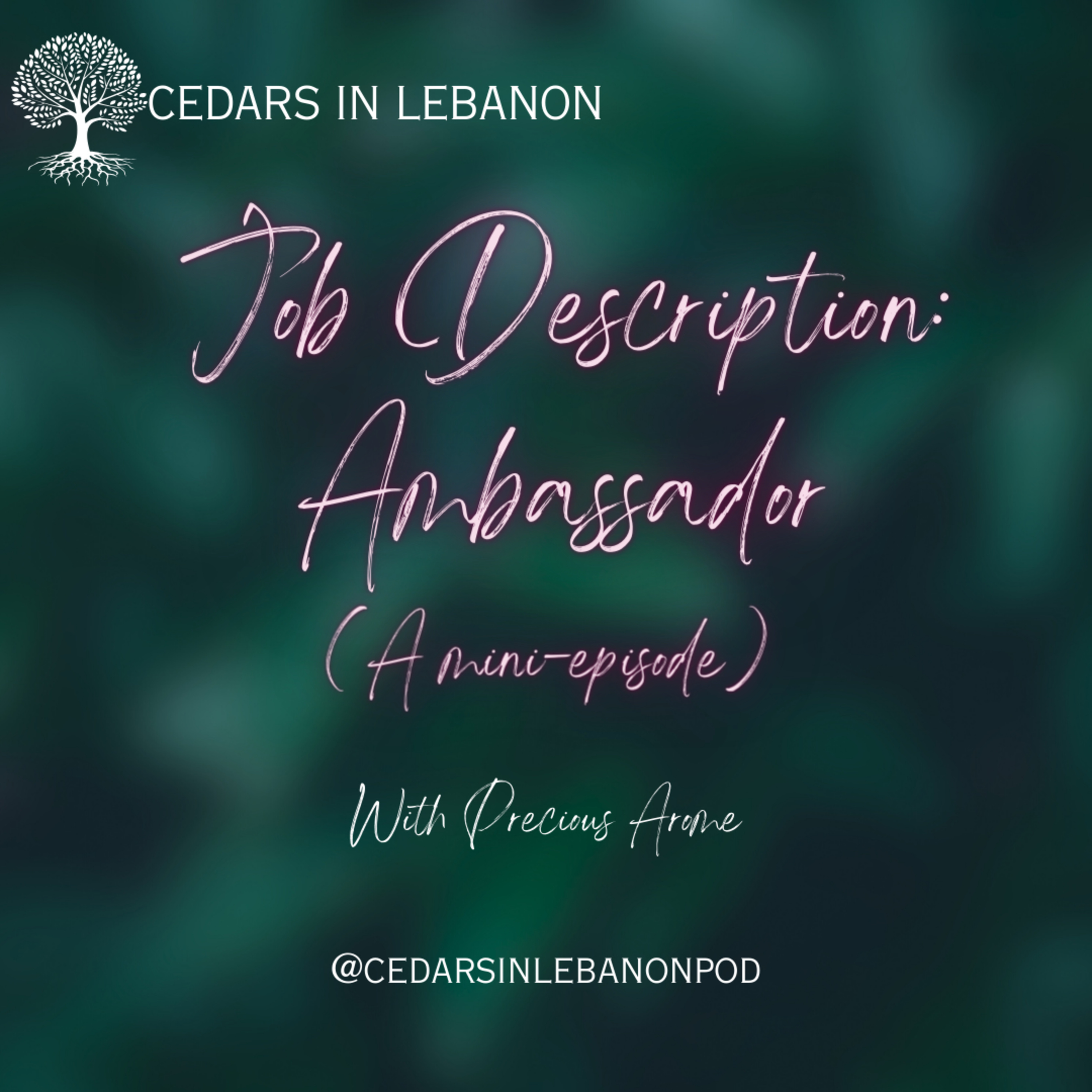 Job Description: Ambassador | C1E19
