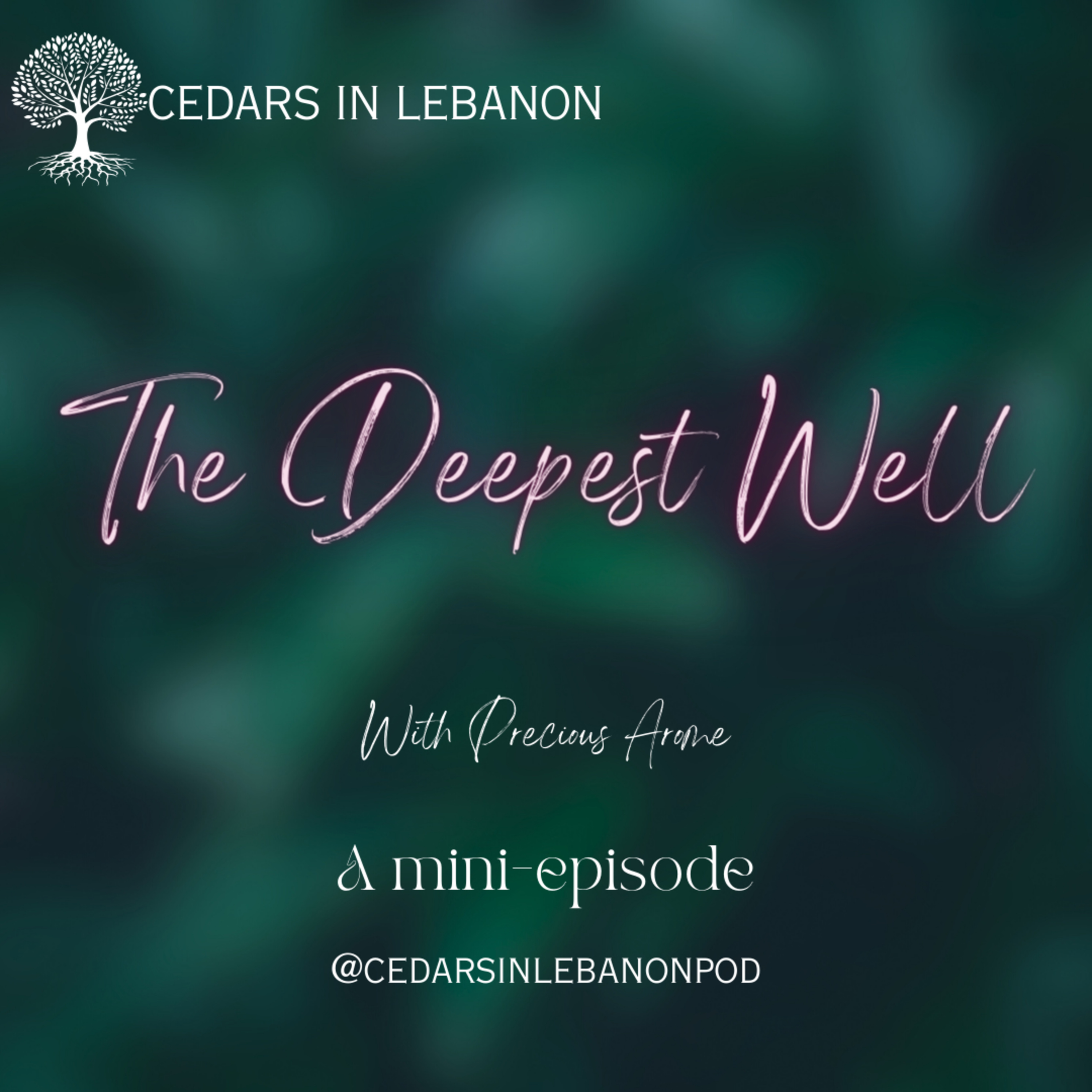 The Deepest Well | C1E21