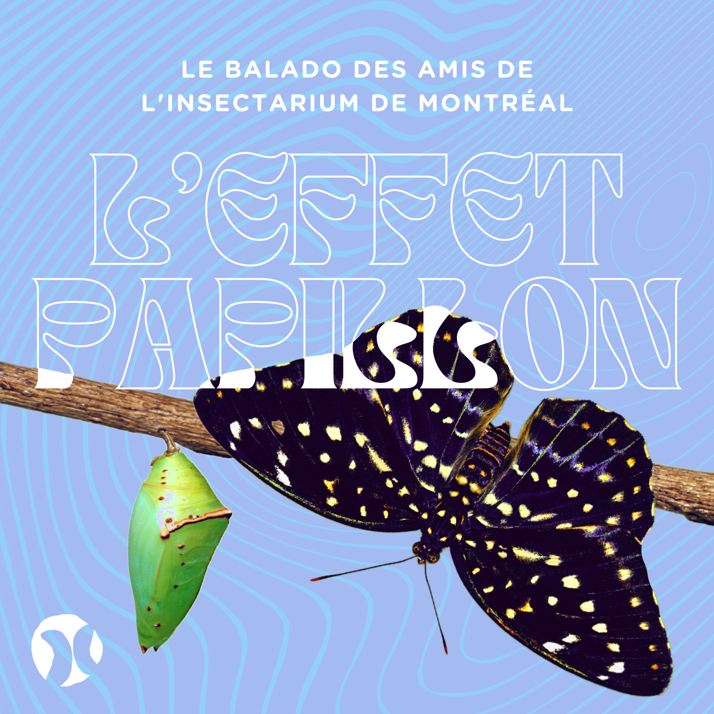 4. Les papillons (partie 2) : Dans les coulisses du Grand Vivarium ✨🐛