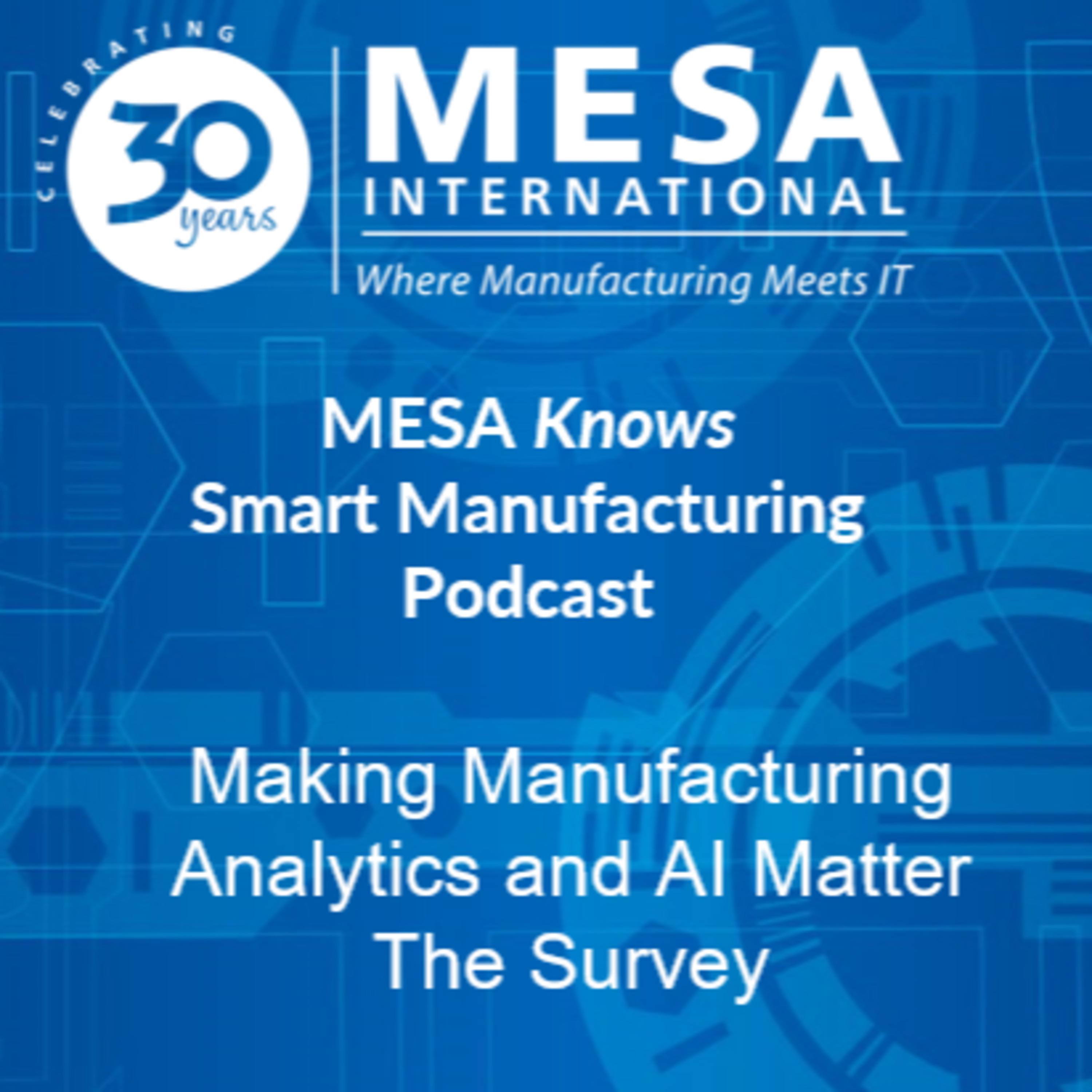 Making Manufacturing Analytics and AI Matter - The Survey episode artwork