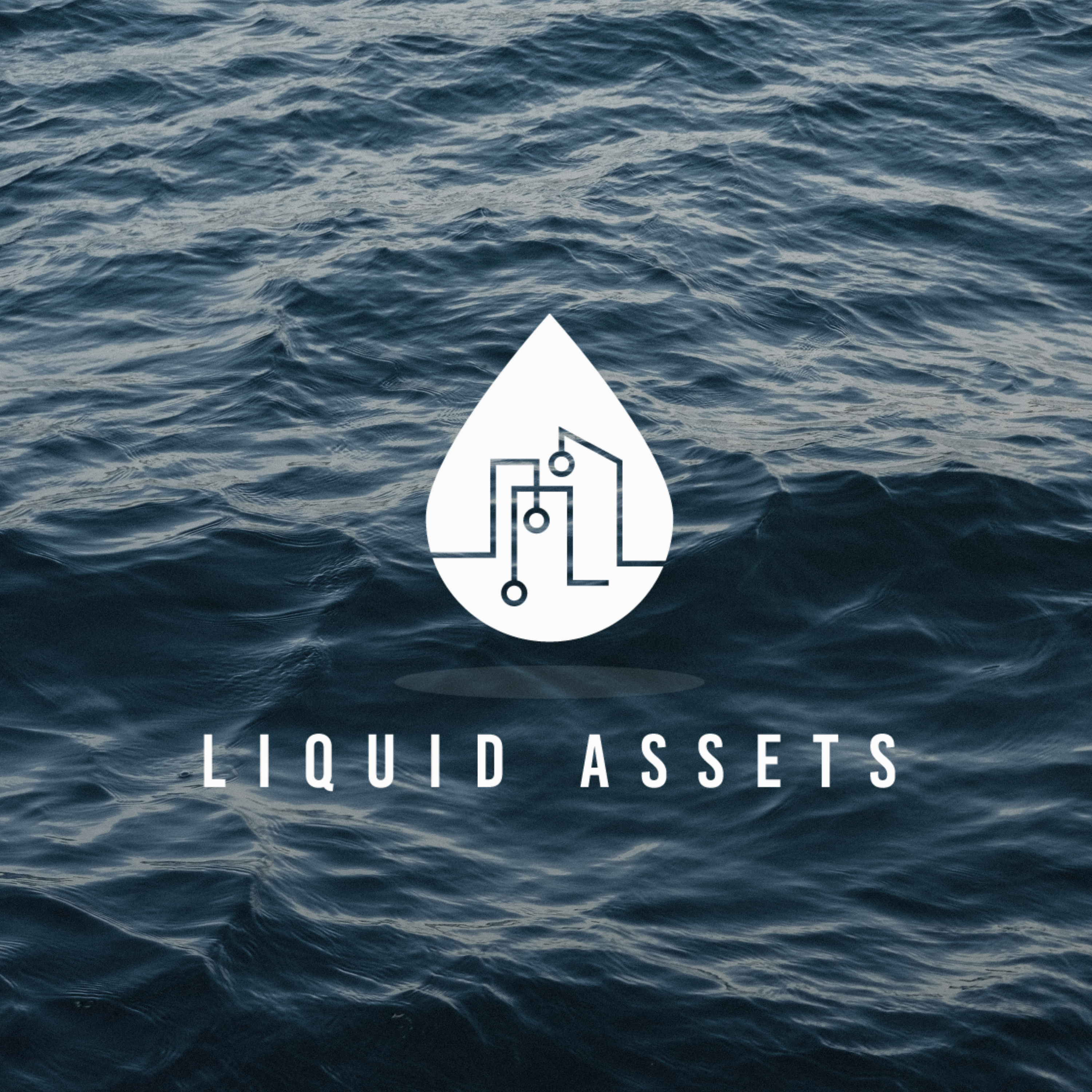 Liquid Assets
