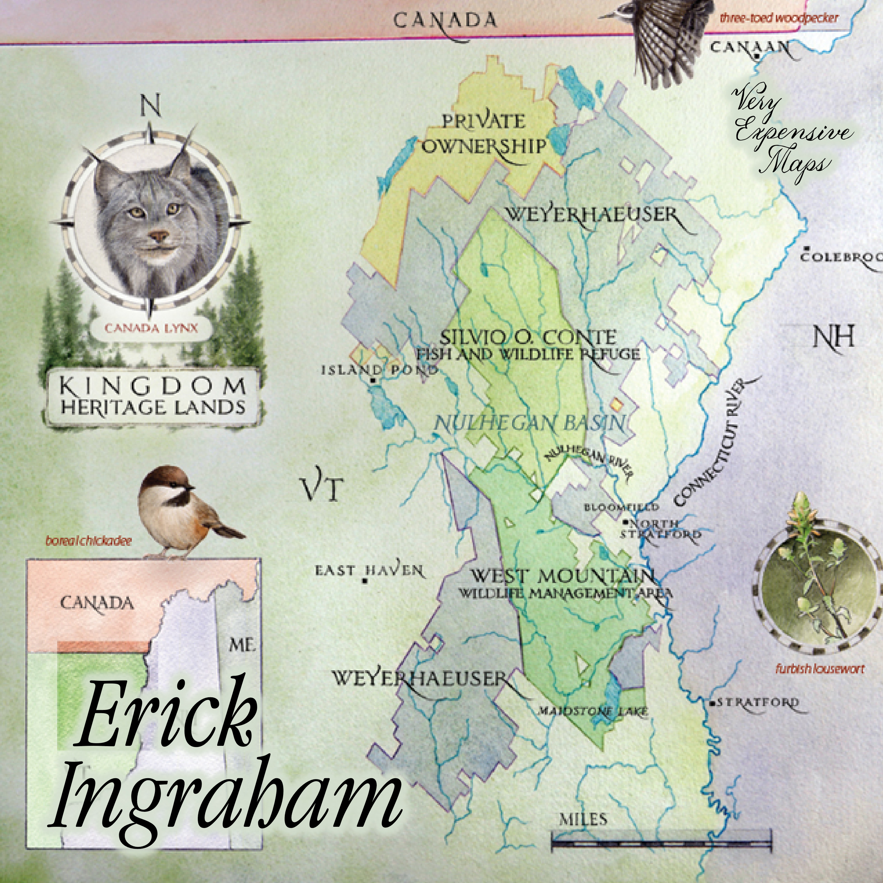 Very Expensive Maps