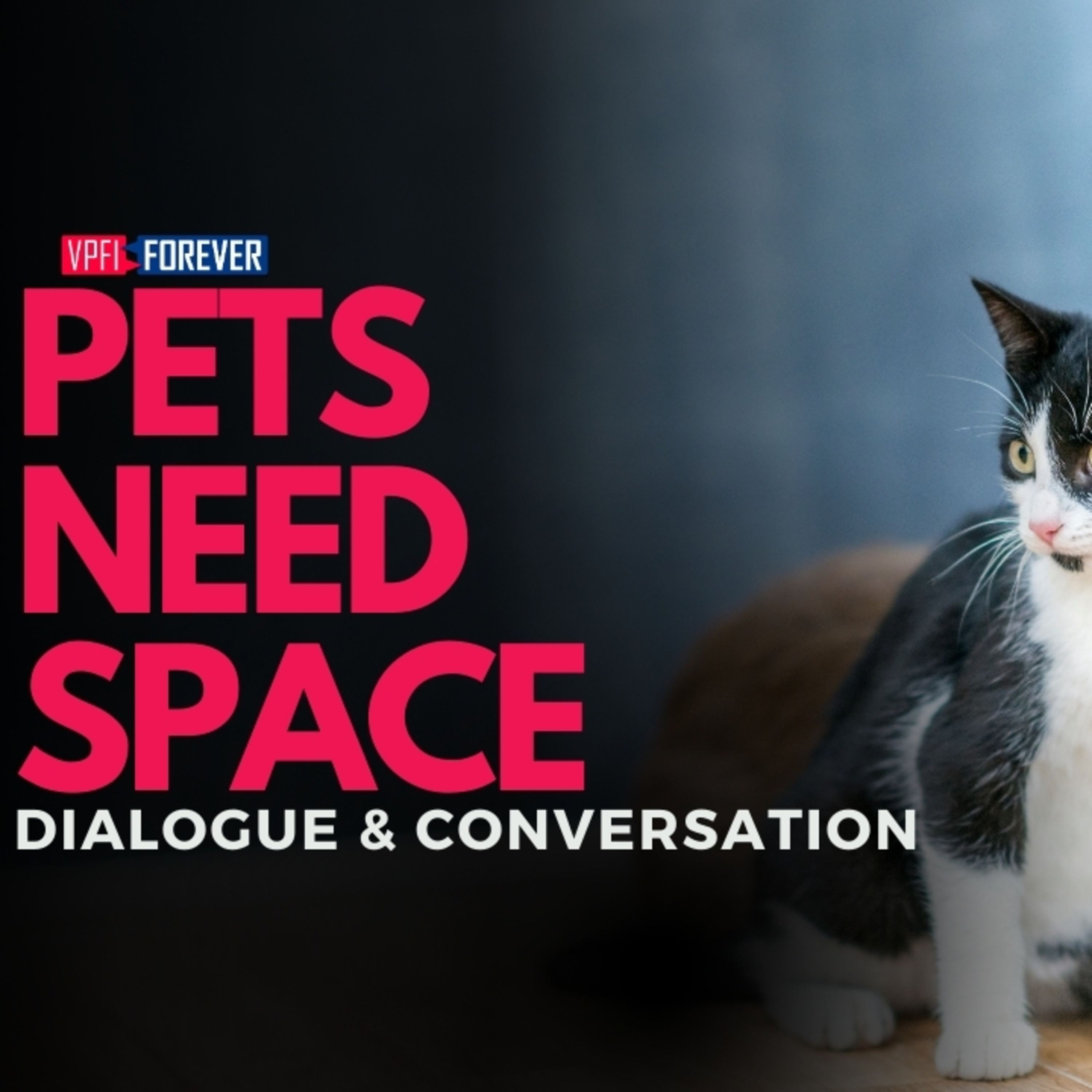 Pets Need Space | Como Aprender Inglês com Diálogos / Conversation