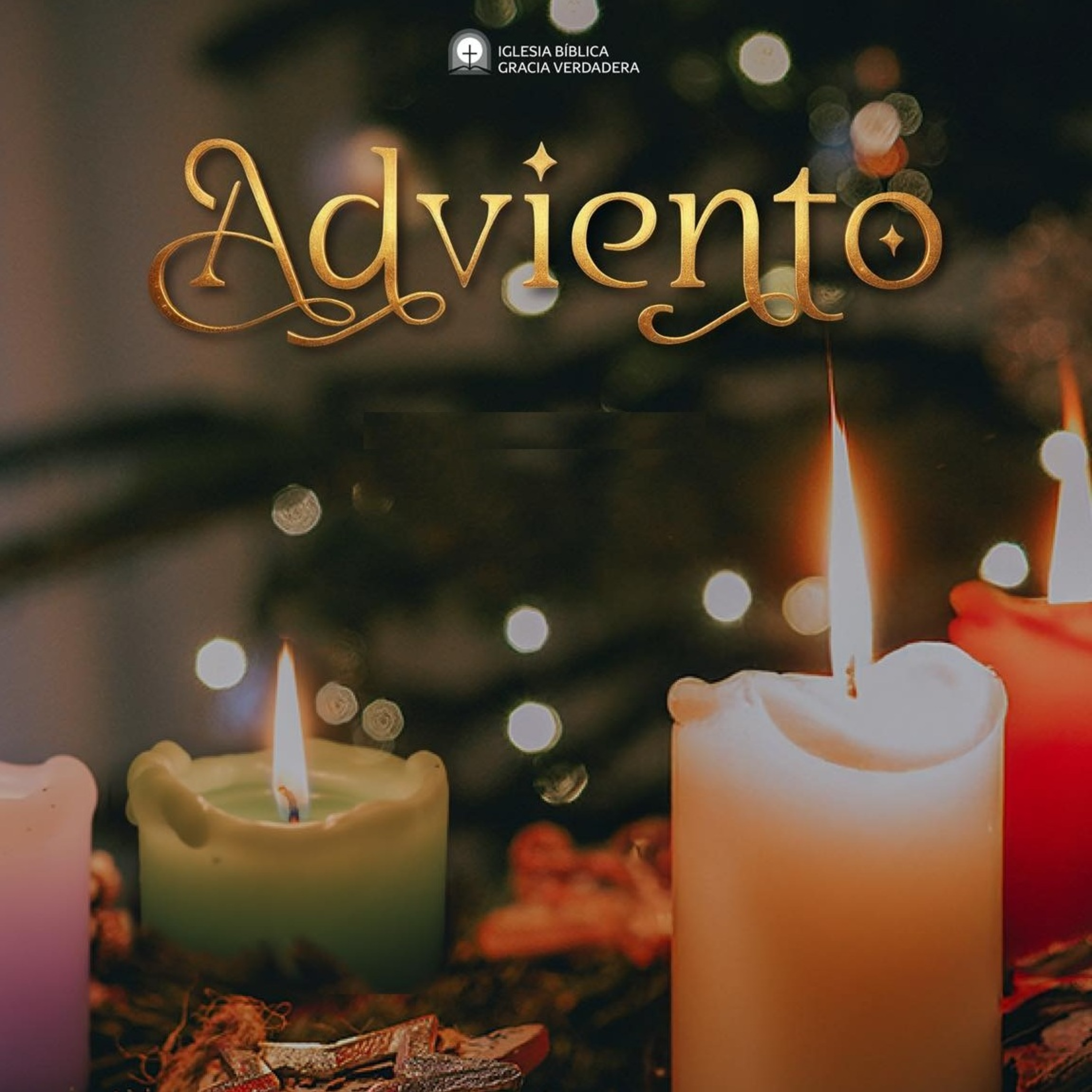 Portada de Iglesia Bíblica Gracia Verdadera