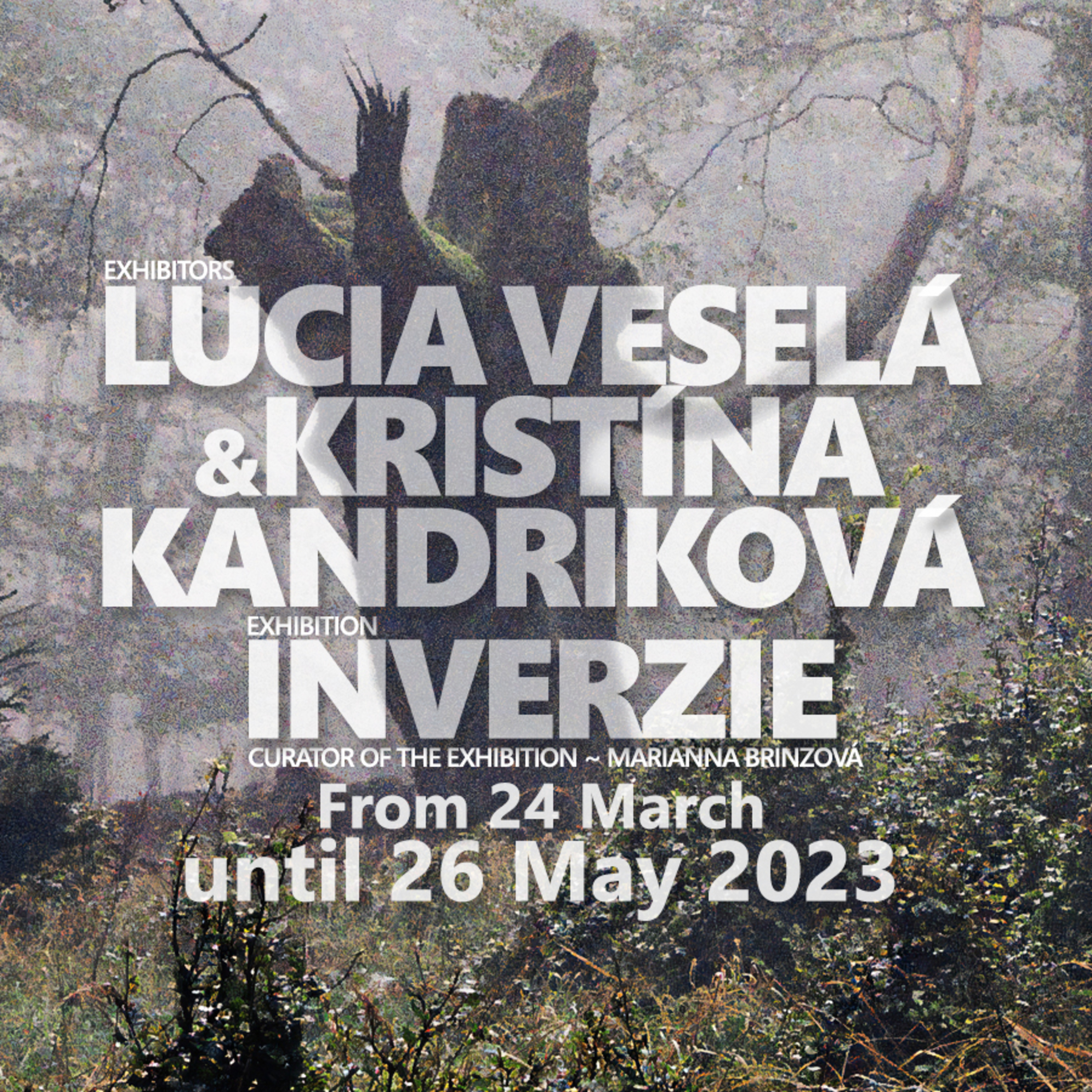 Predposledná večera s Luciou Veselou a Kristínou Kandrikovou episode artwork