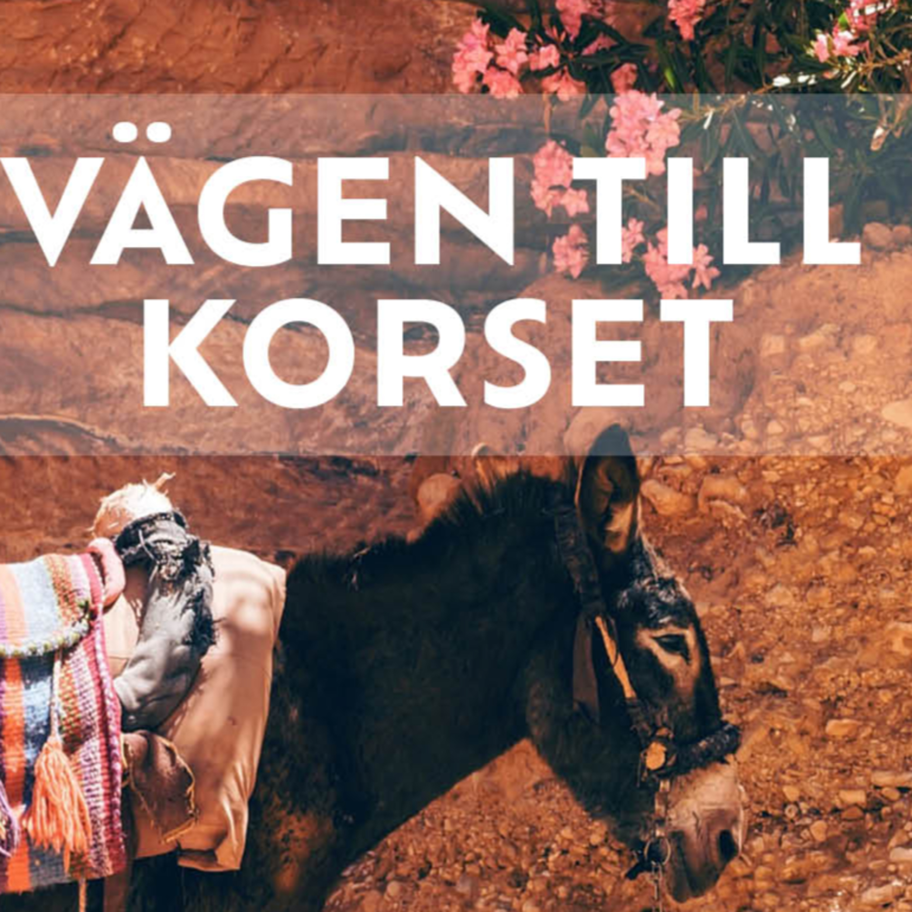 Equmeniakyrkan Alingsås