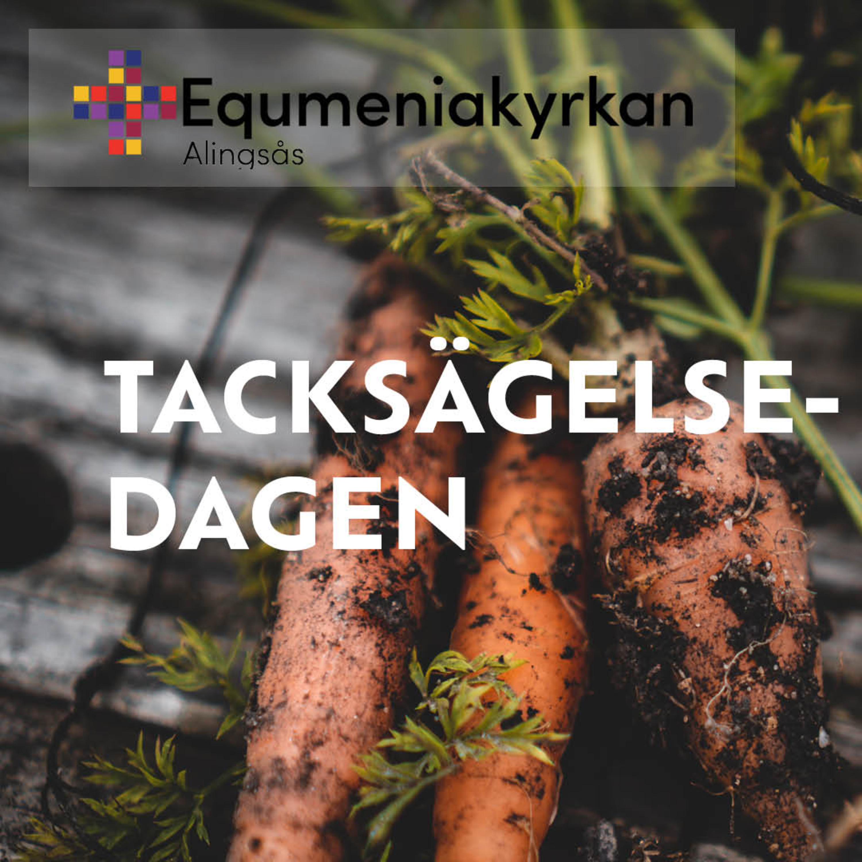 Equmeniakyrkan Alingsås