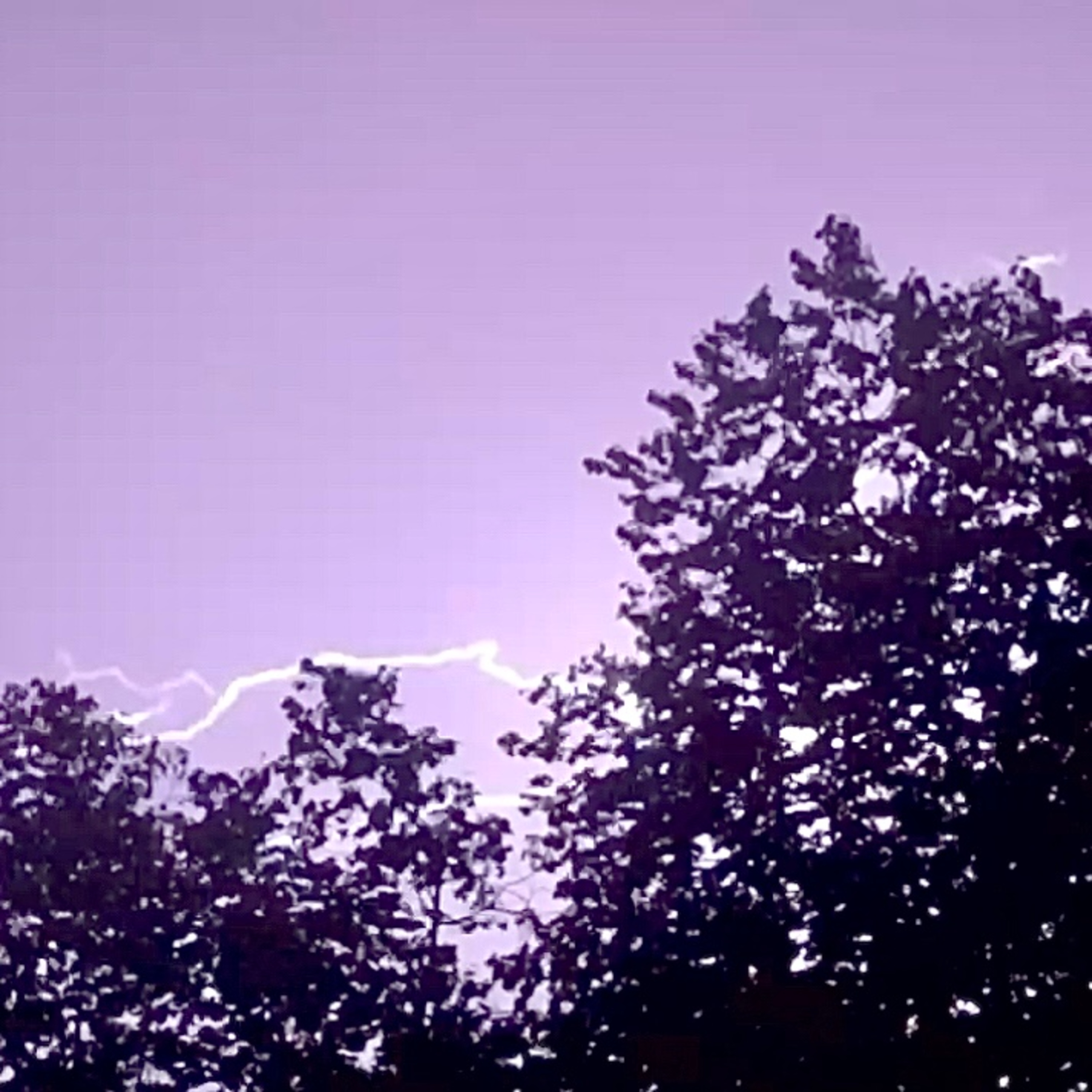 Thunderstorms of Terror