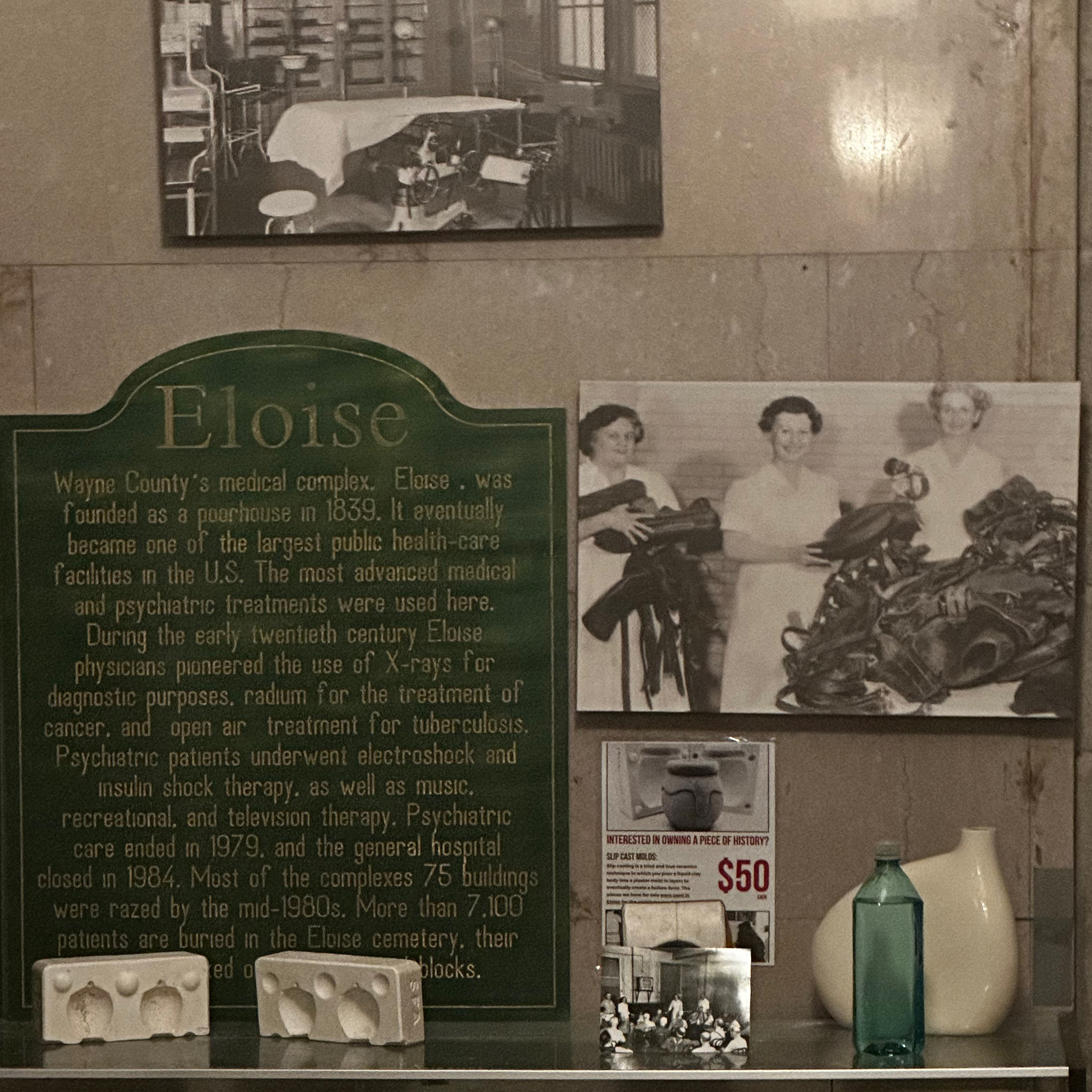 My Journey Through Eloise Asylum