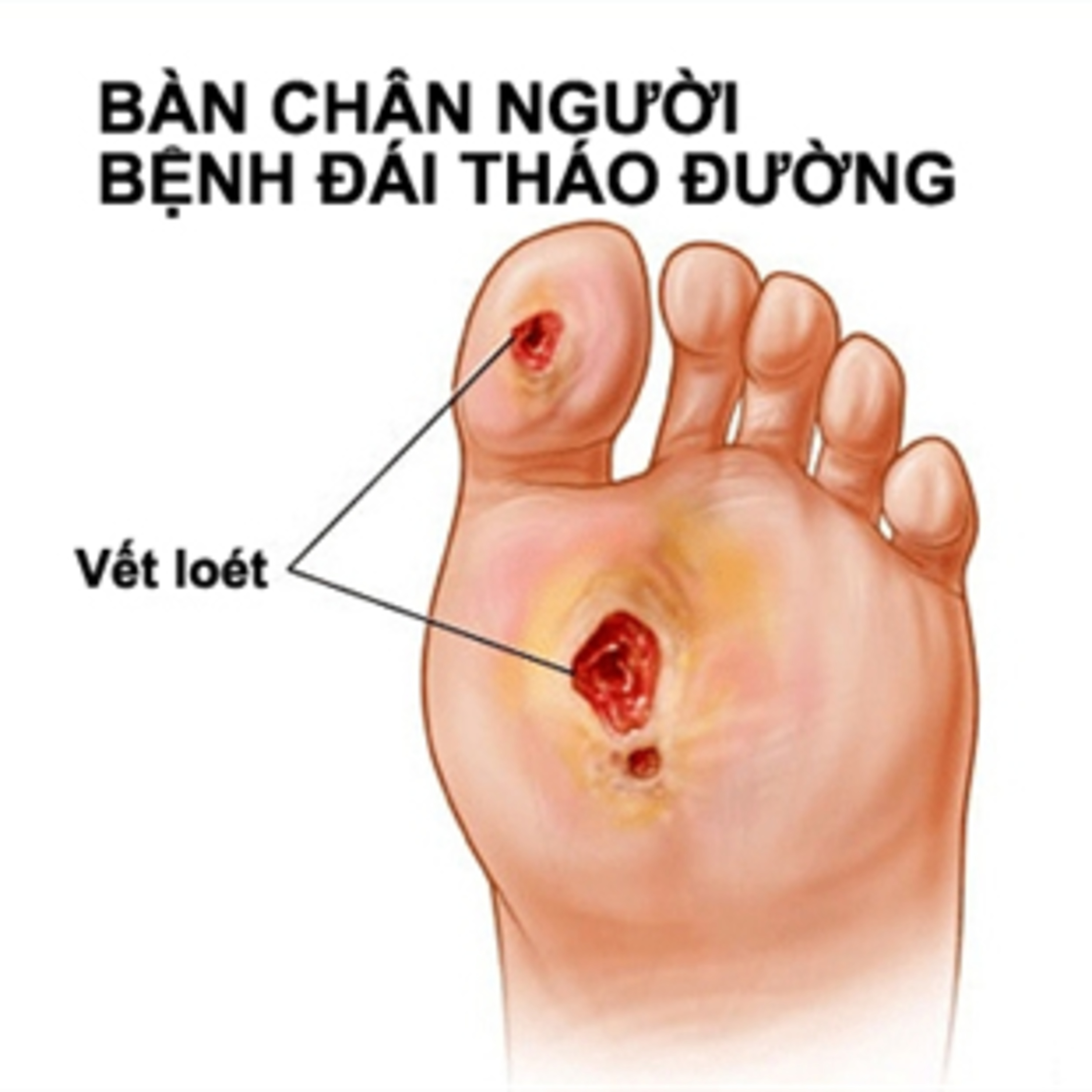 Cập nhật Y khoa mới nhất