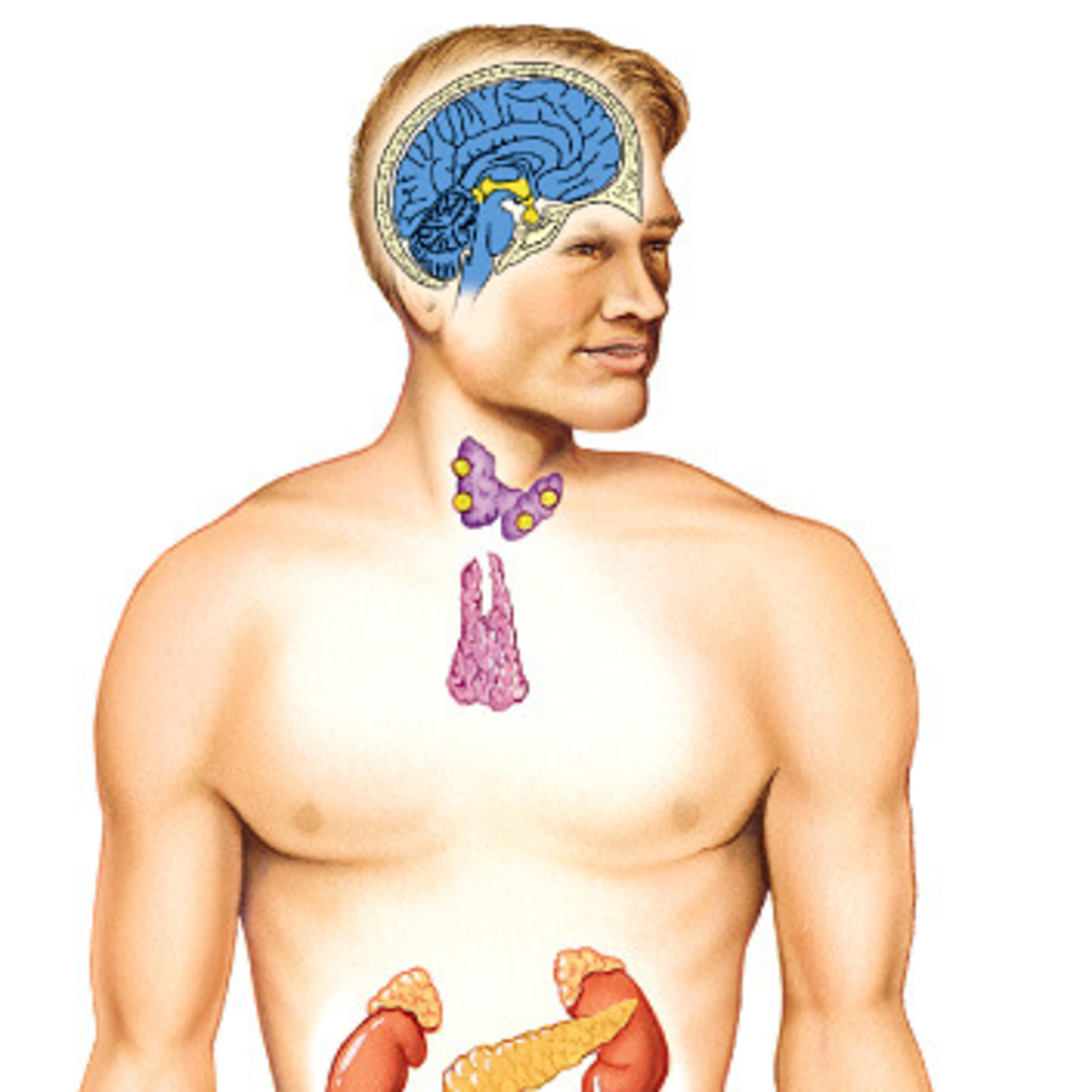 Cập nhật Y khoa mới nhất