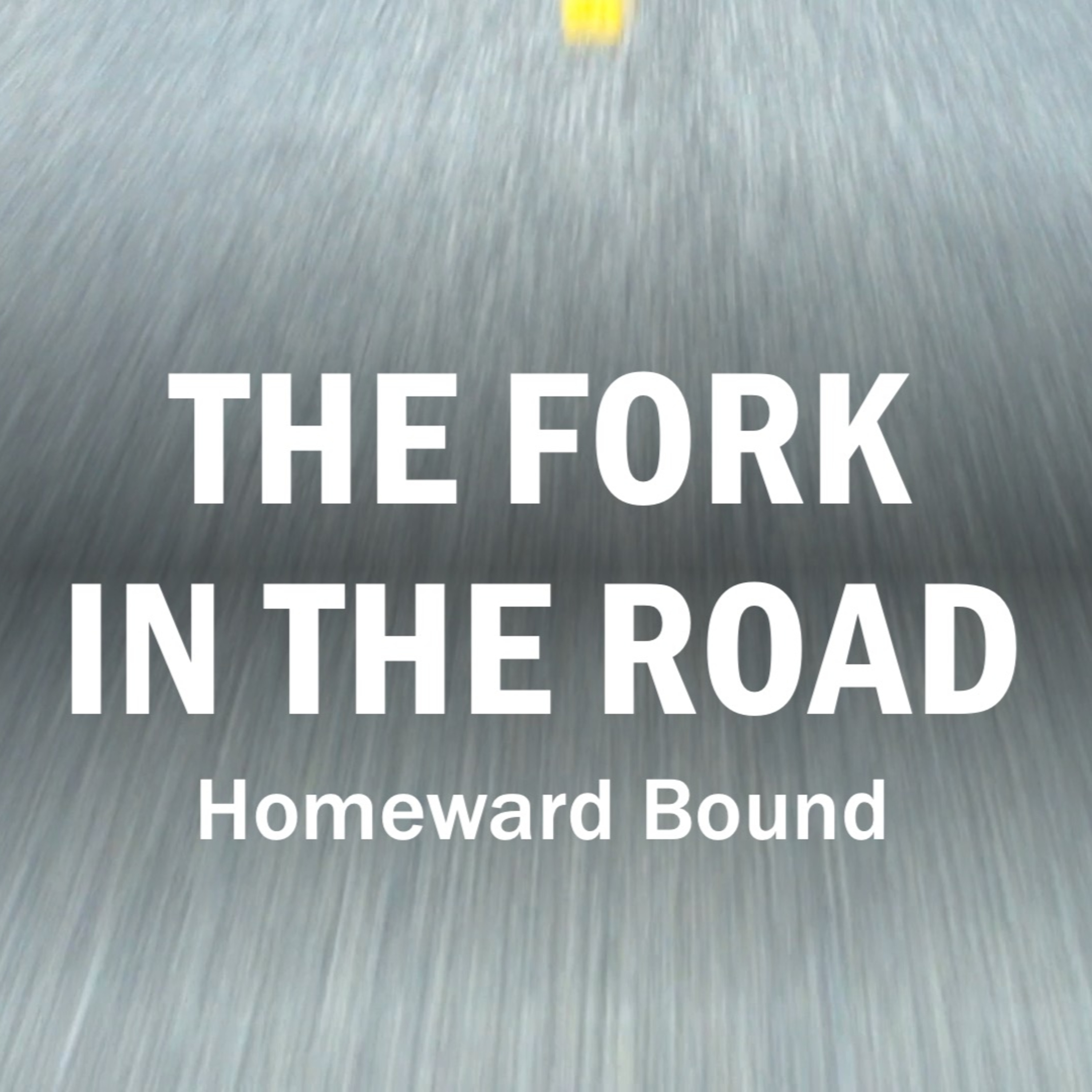 Homeward Bound: The Fork in the Road episode artwork