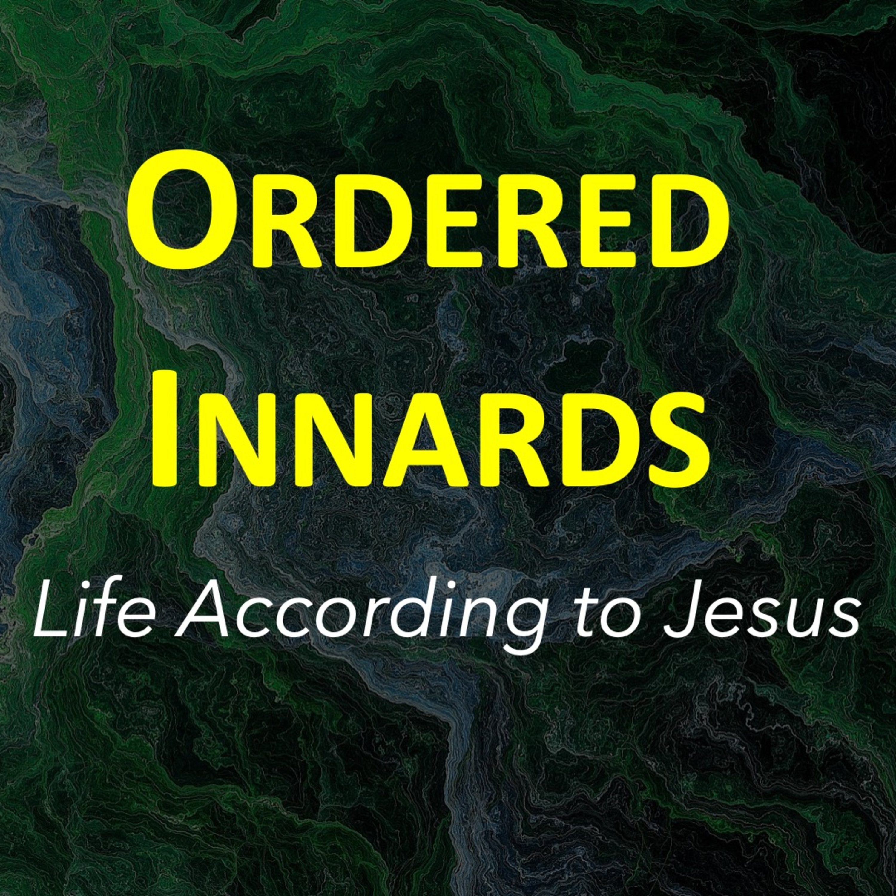 Life According to Jesus: Ordered Innards episode artwork