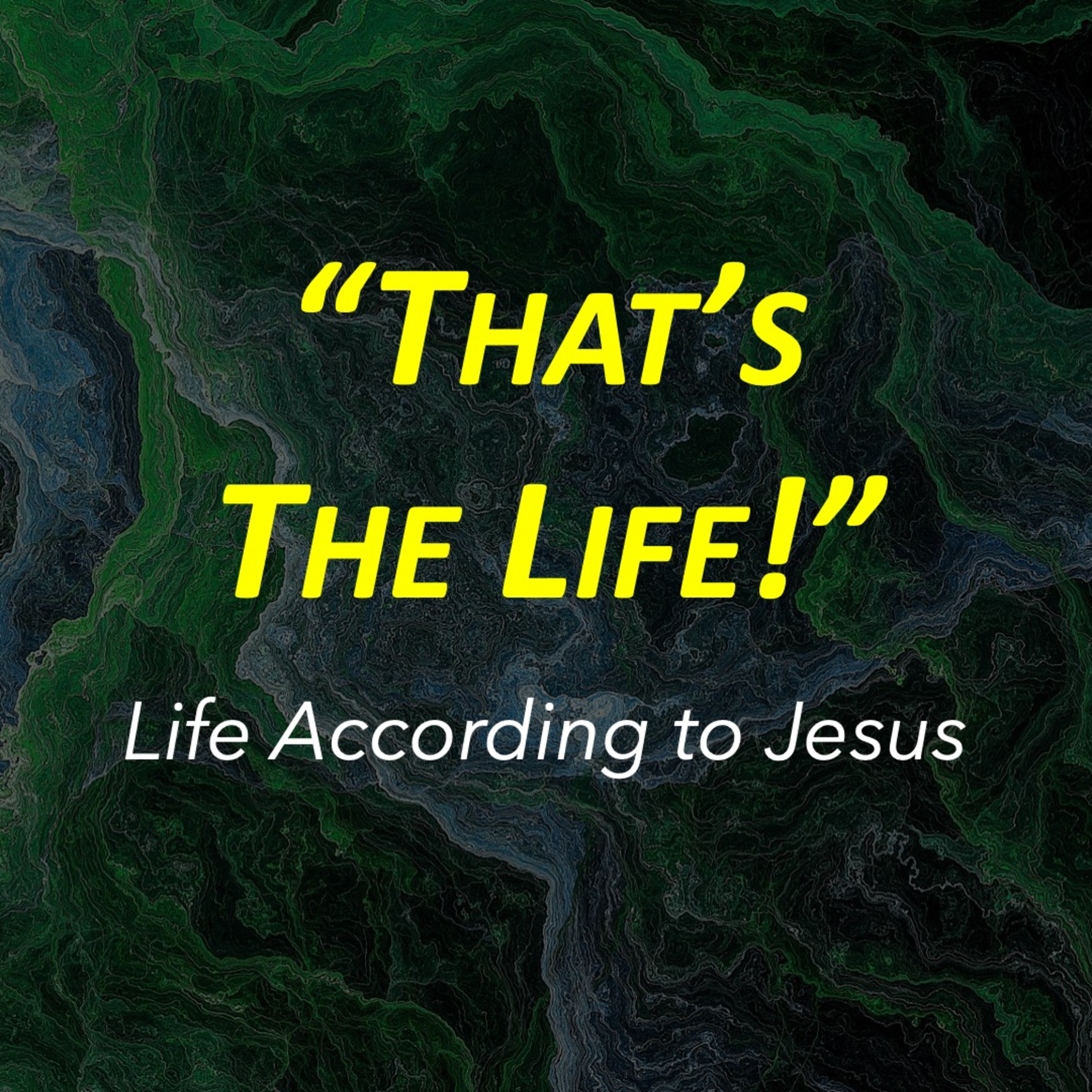 Life According to Jesus: That's the Life! episode artwork