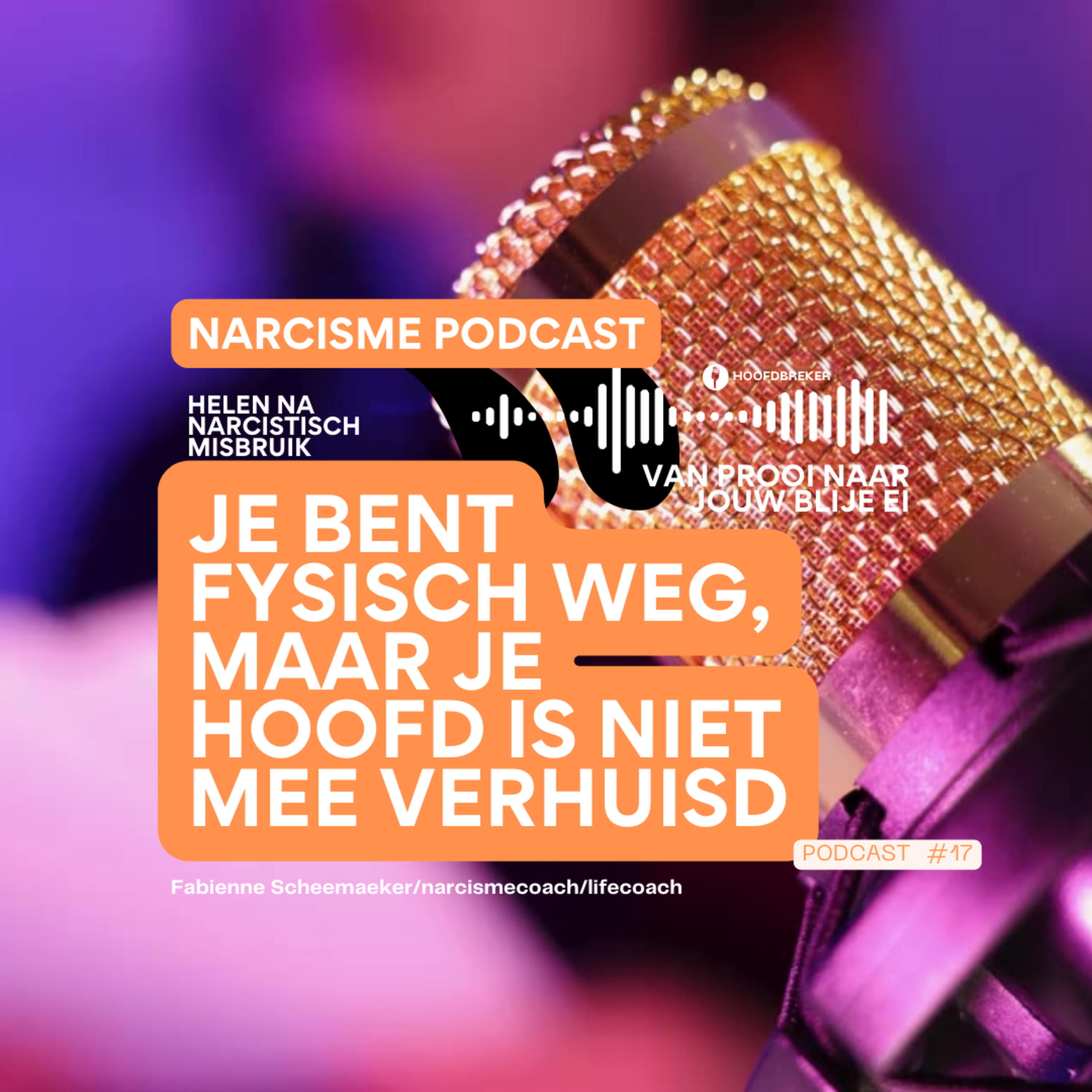 Hoofdbreker_Narcismecoach