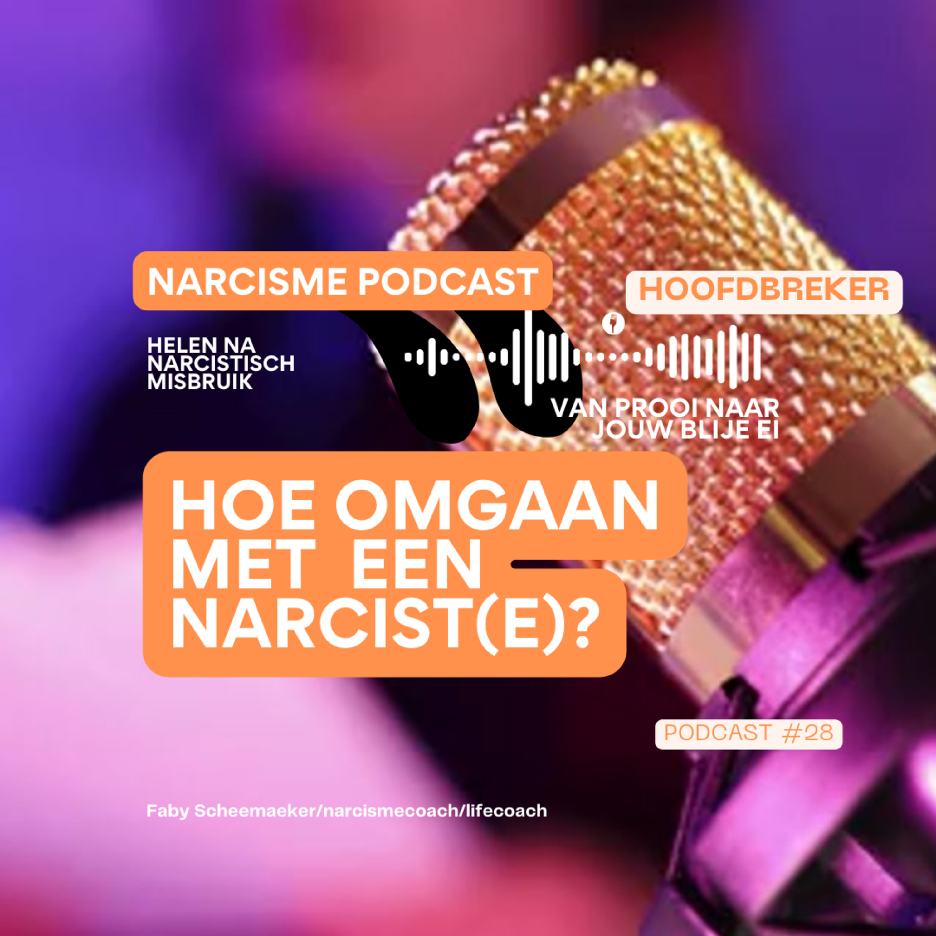 Hoofdbreker_Narcismecoach
