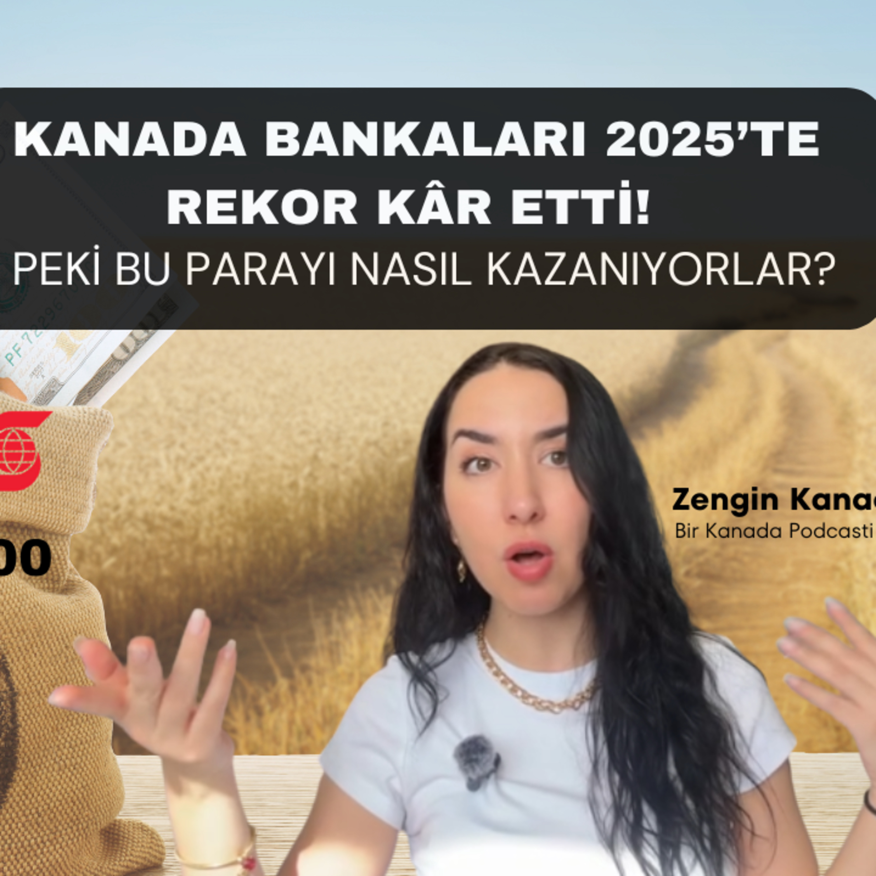 Kanada Bankaları 2025’te Rekor Kâr Etti! Peki Bu Parayı Nerden Kazanıyorlar? episode artwork