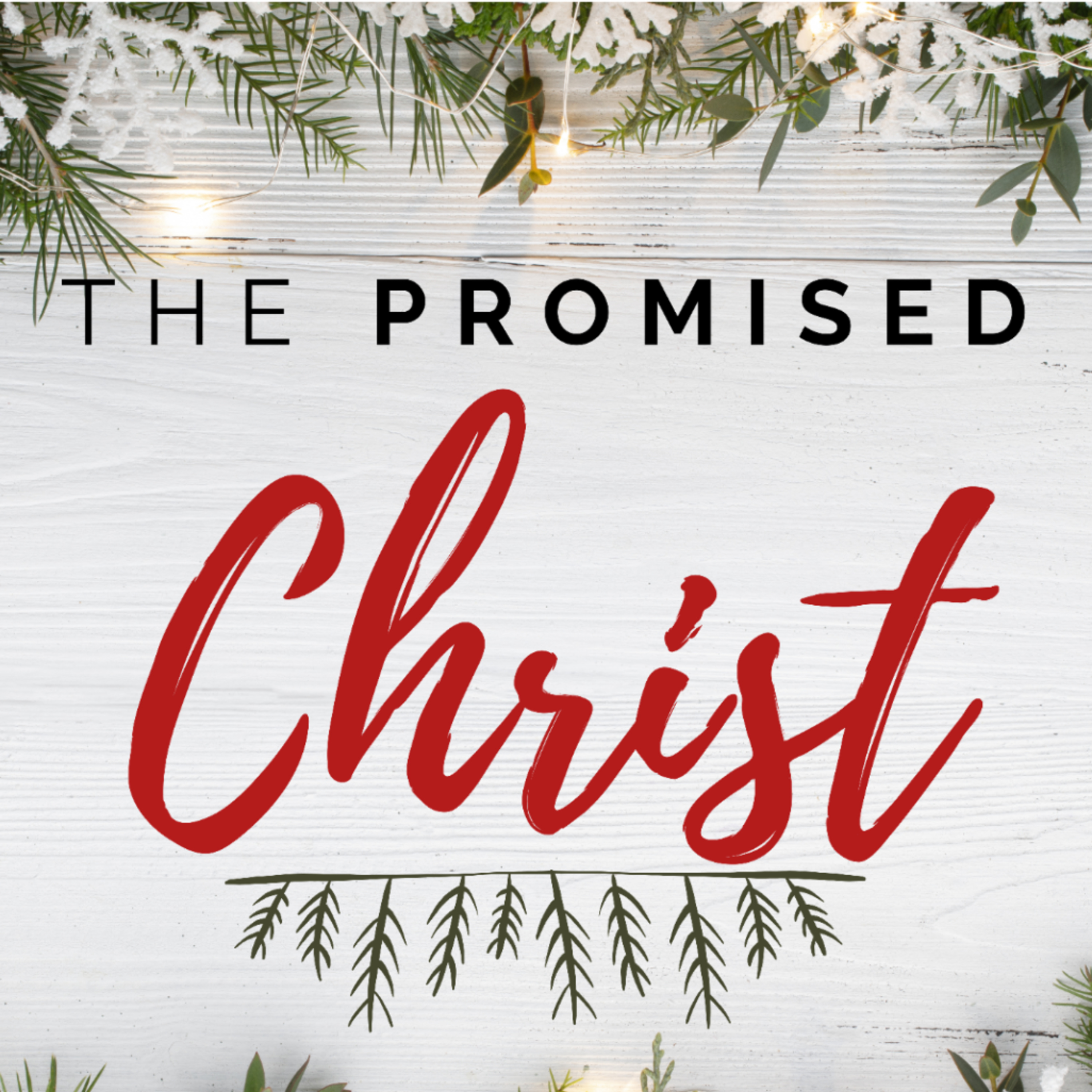 Amos 9:11: The Promised King | David Guess III episode artwork