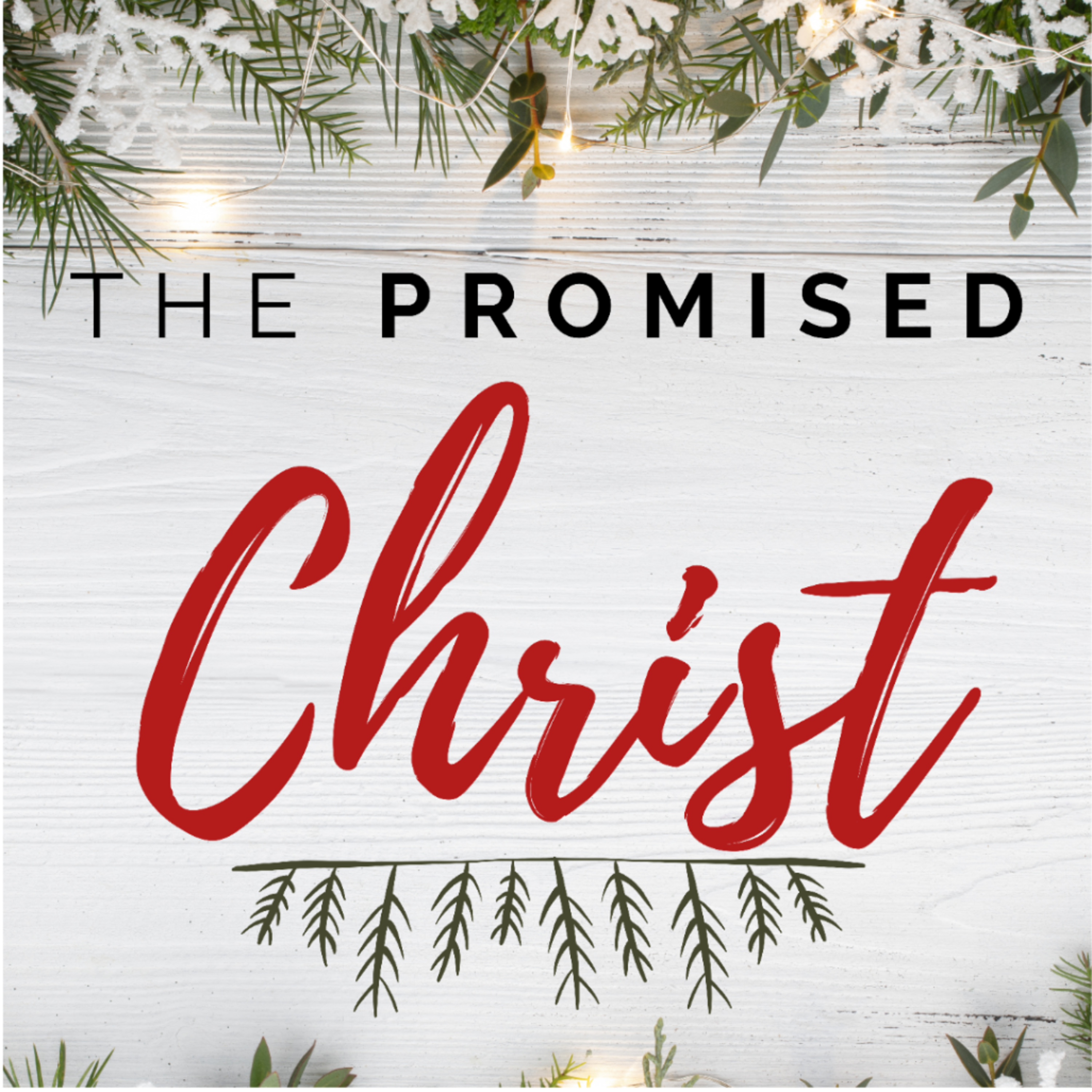 Joel 2:28-32: The Promised Savior | David Guess III episode artwork
