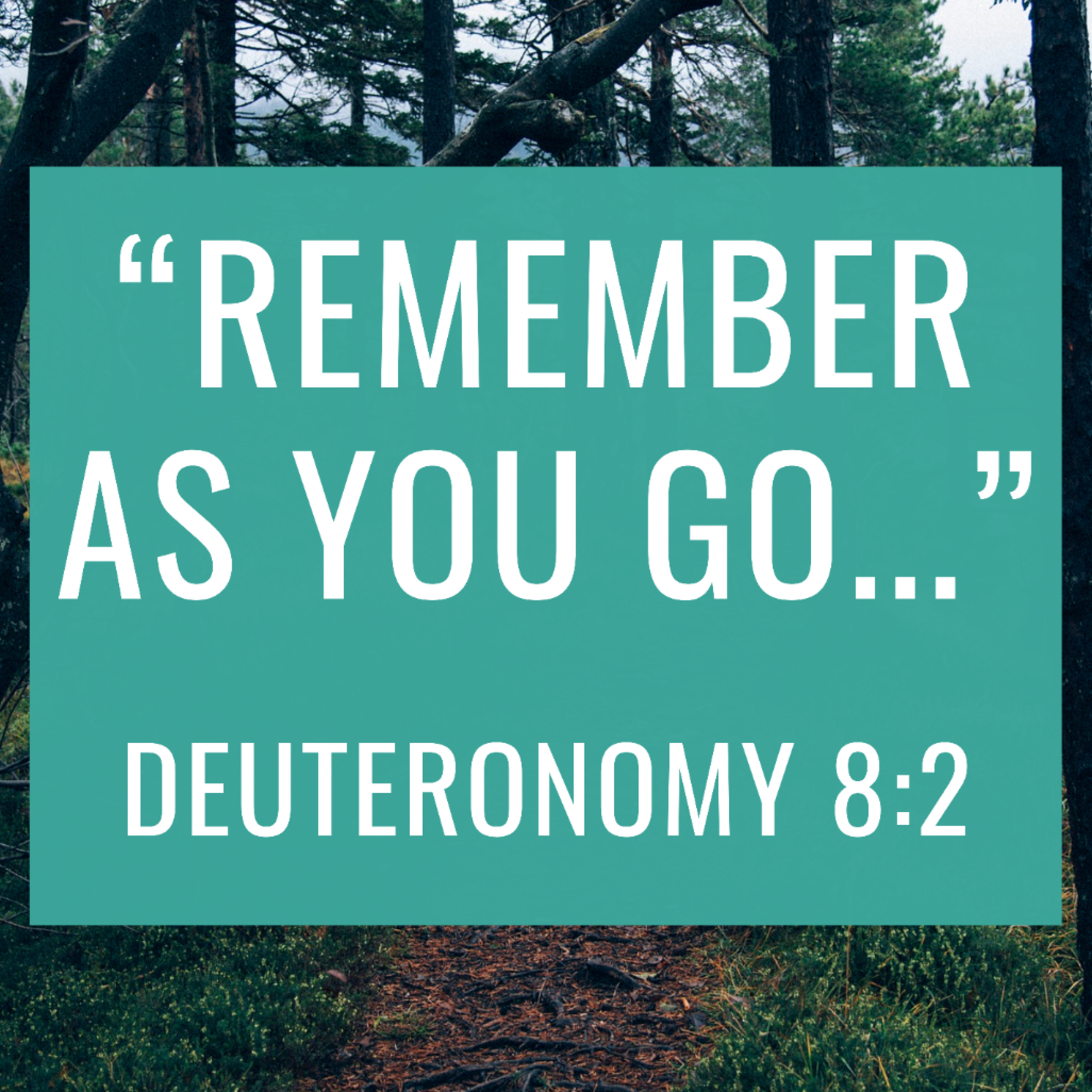 Deuteronomy 8:2: "Remember As You Go" | David Guess III episode artwork