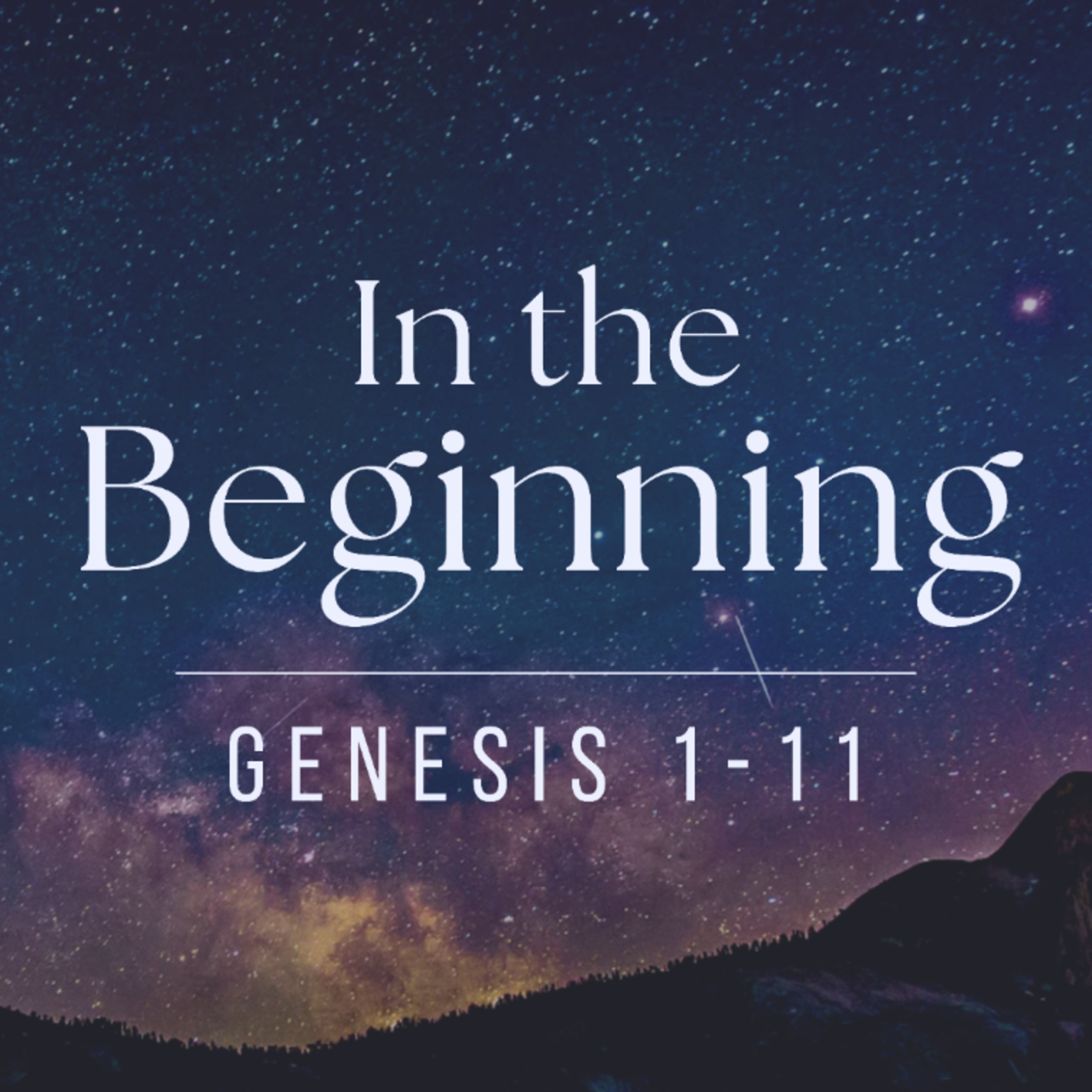 2.2 A Helper Fit For Him – Genesis 2:15-25 | David Guess III  episode artwork
