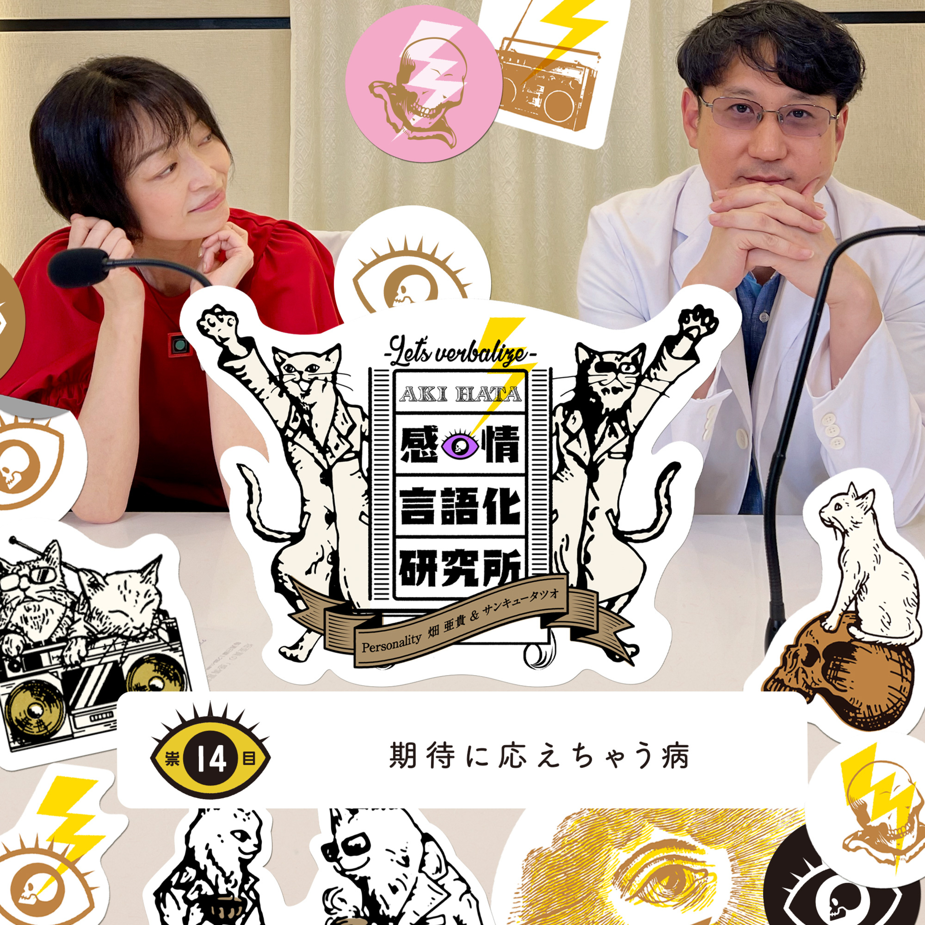 感情言語化研究所 014 “期待に応えちゃう病”